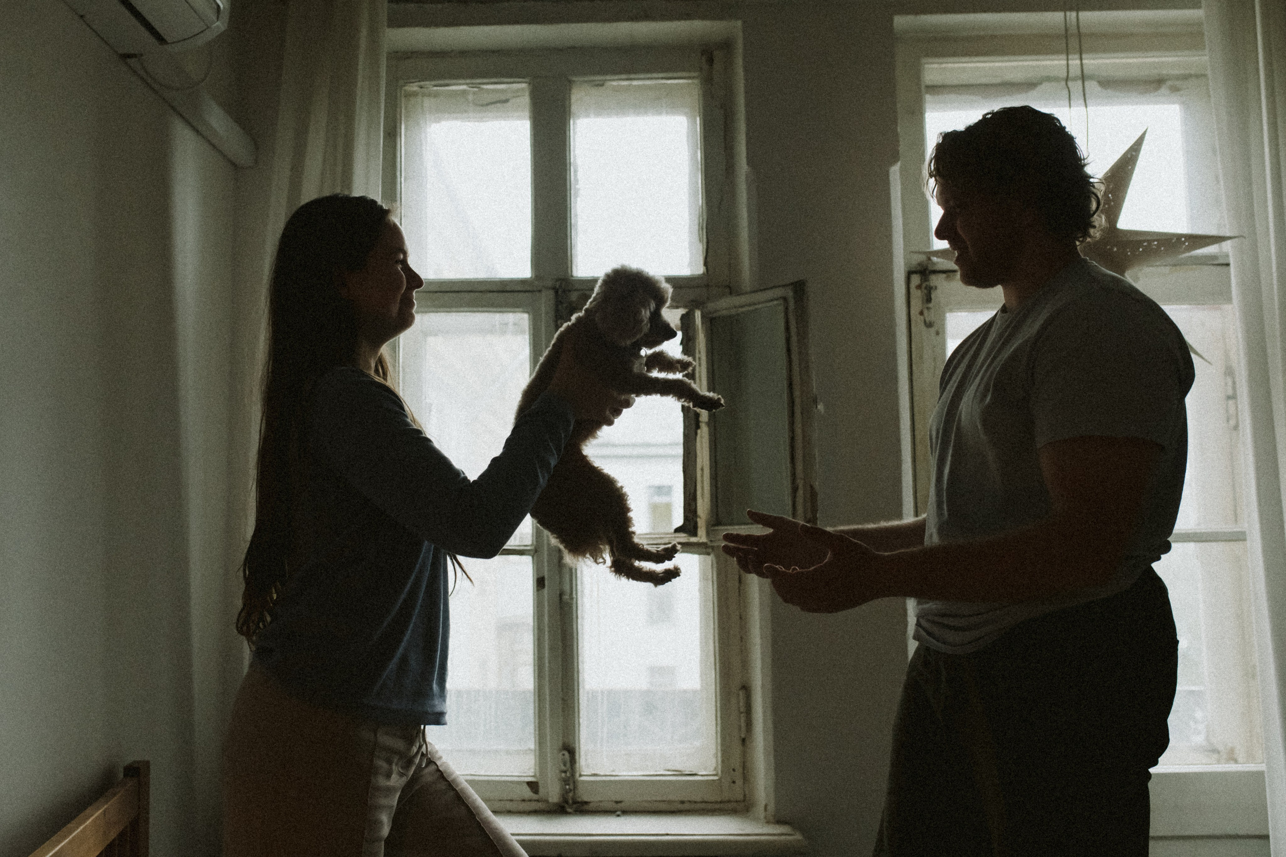 Ання и её кудрявая команда. Фотограф анималист в Москве Ольга Агушева