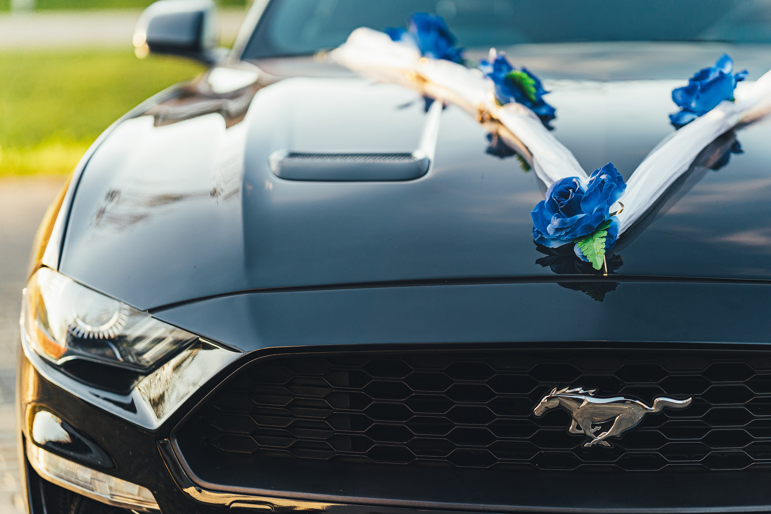 Светлана и Юрий, ЗАГС Щелково, Конно-спортивный комплекс Звёздный. Наталья Дукалова фотограф Щелково Королев Пушкино Москва Балашиха