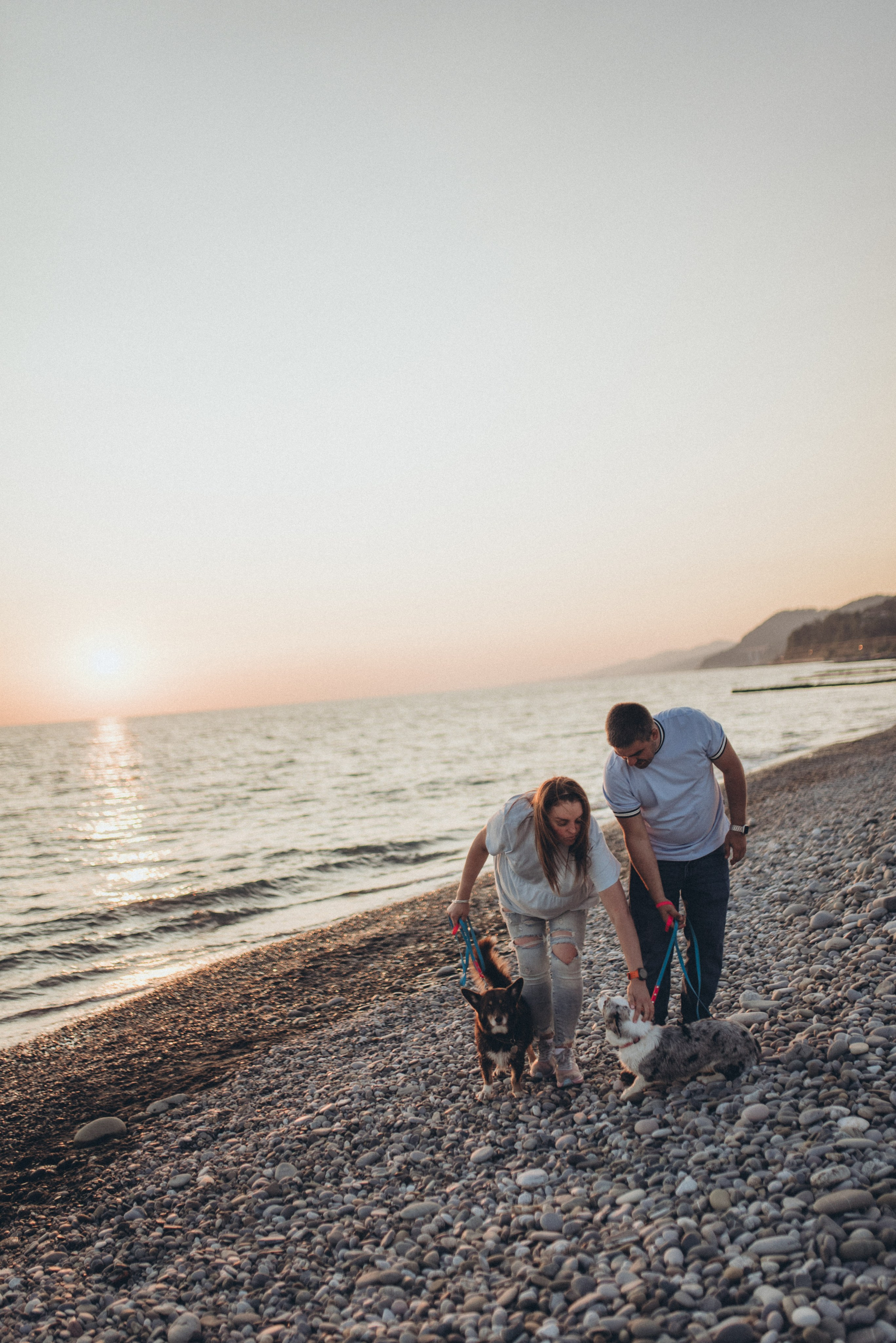 🐕 Катя и Дима 🐕. Фотограф в Сочи — Маргарита Поганова