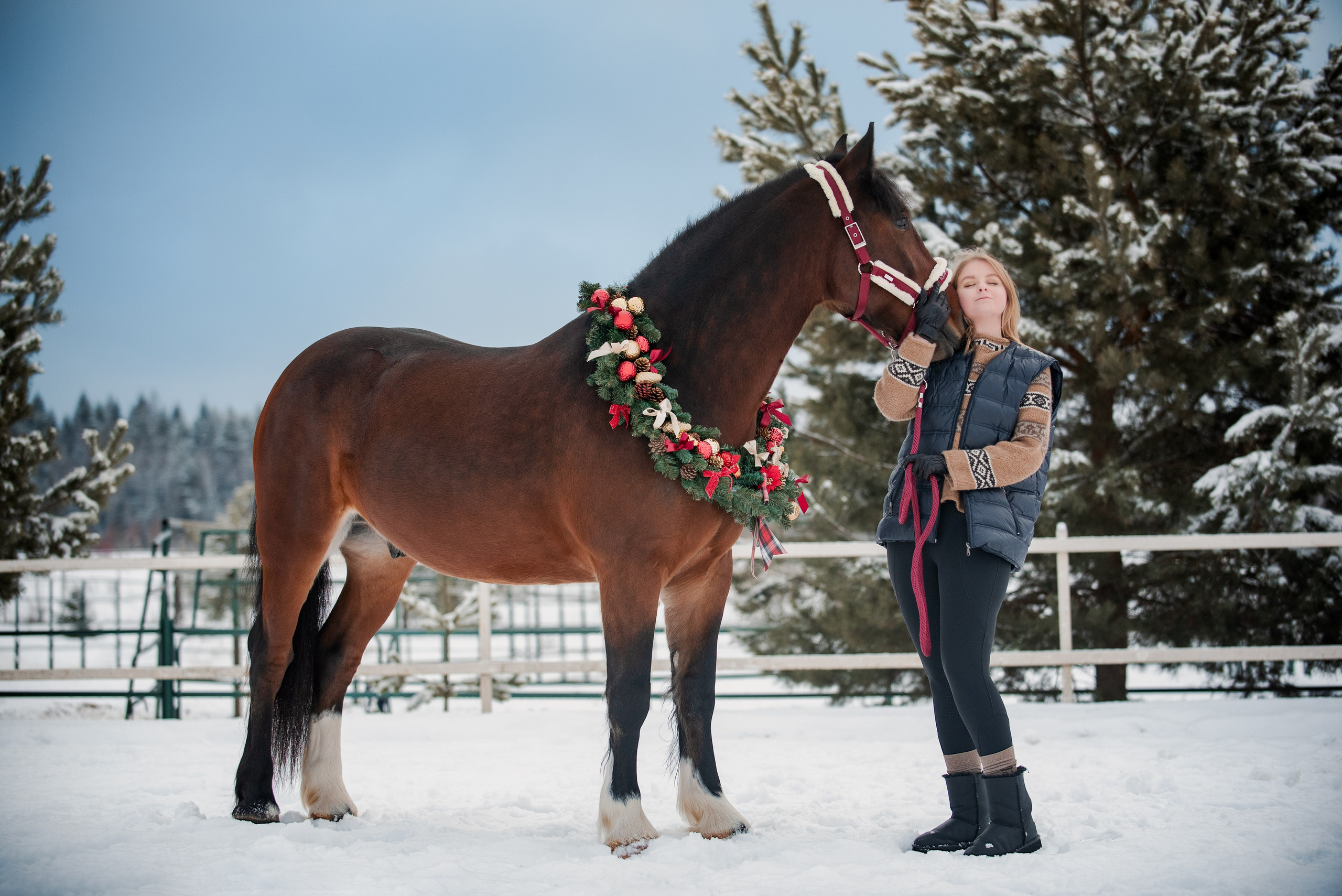 Зимний Настасьин табун. Куракина Дарья • Конный фотограф