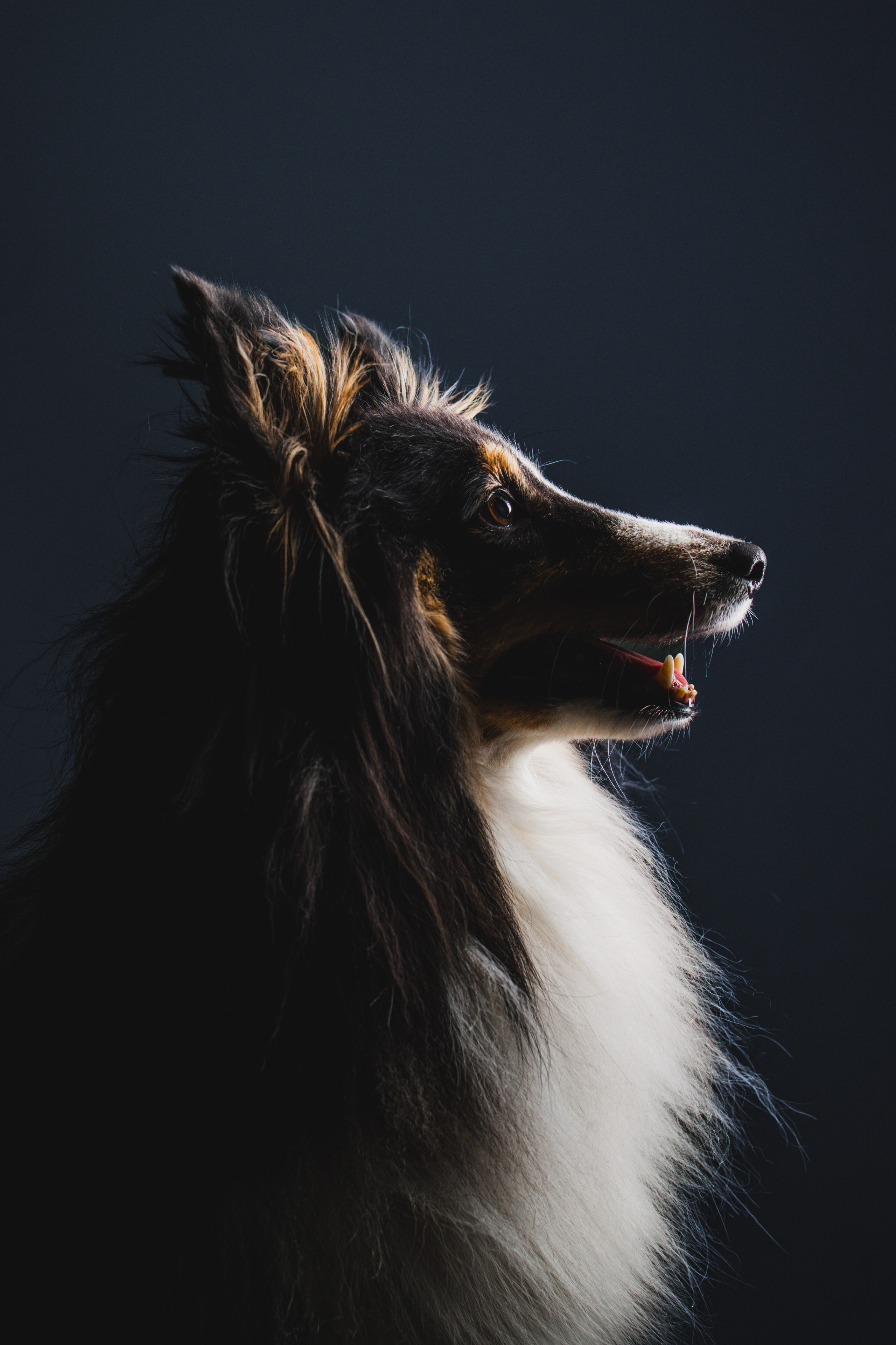 Воркшоп по импульсному свету