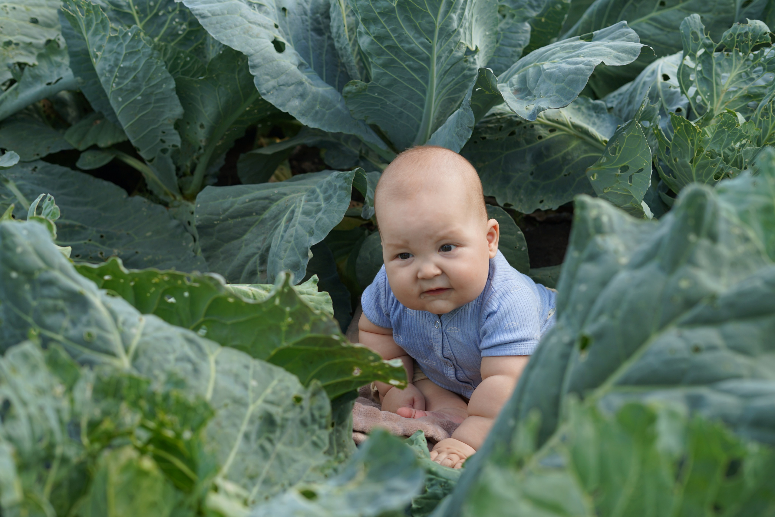 Дети в кадре