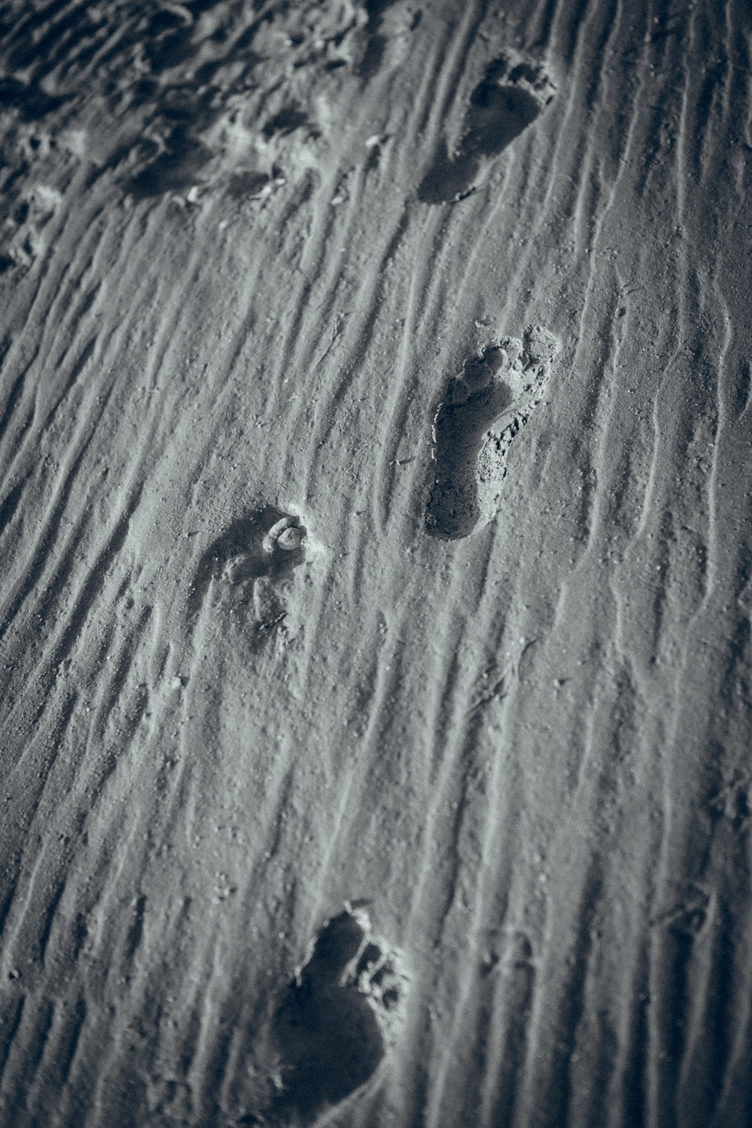 Family moment 💫. Семейный фотограф и фотограф на роды в Ростове-на-Дону Мухина Виктория