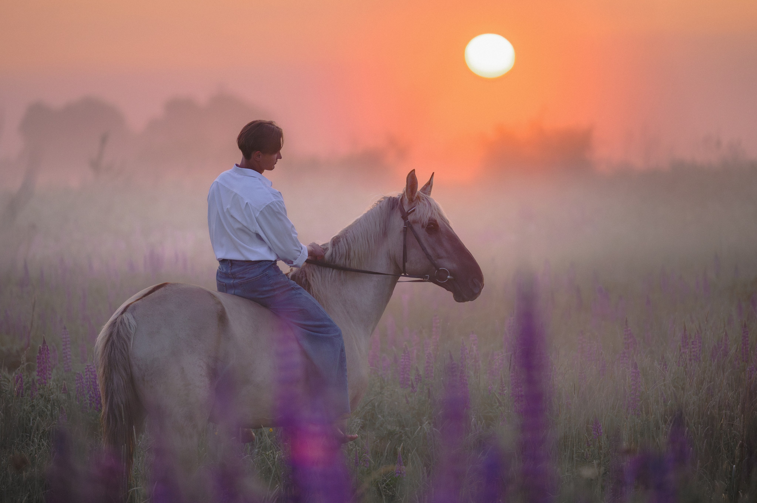 Рассвет в Подмосковье. Фотограф в Ростове —на — Дону