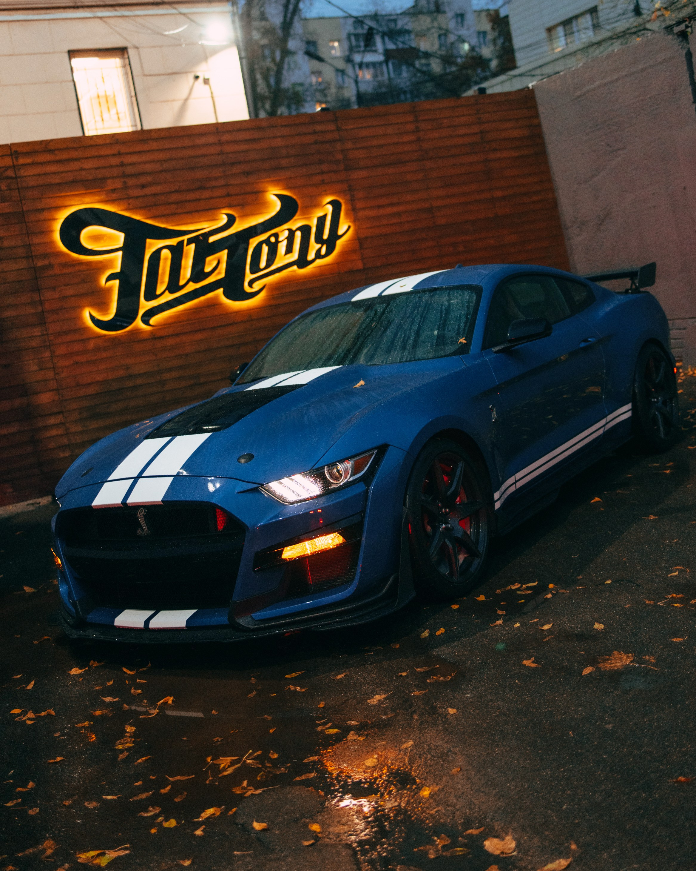 Ford Mustang GT500. DeLorein