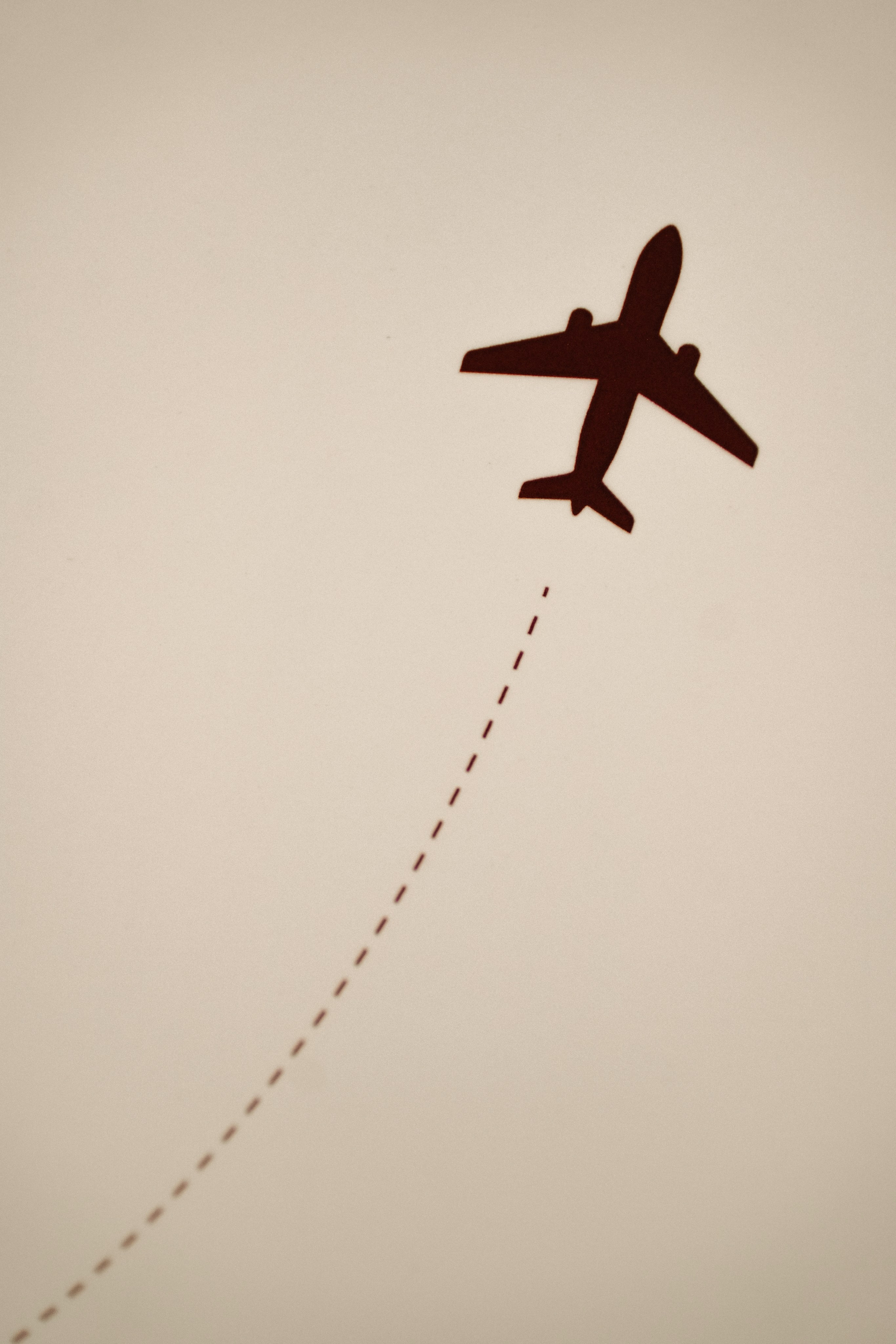 Свадьба 04.06.2026. Photographer_anastasia_margushina