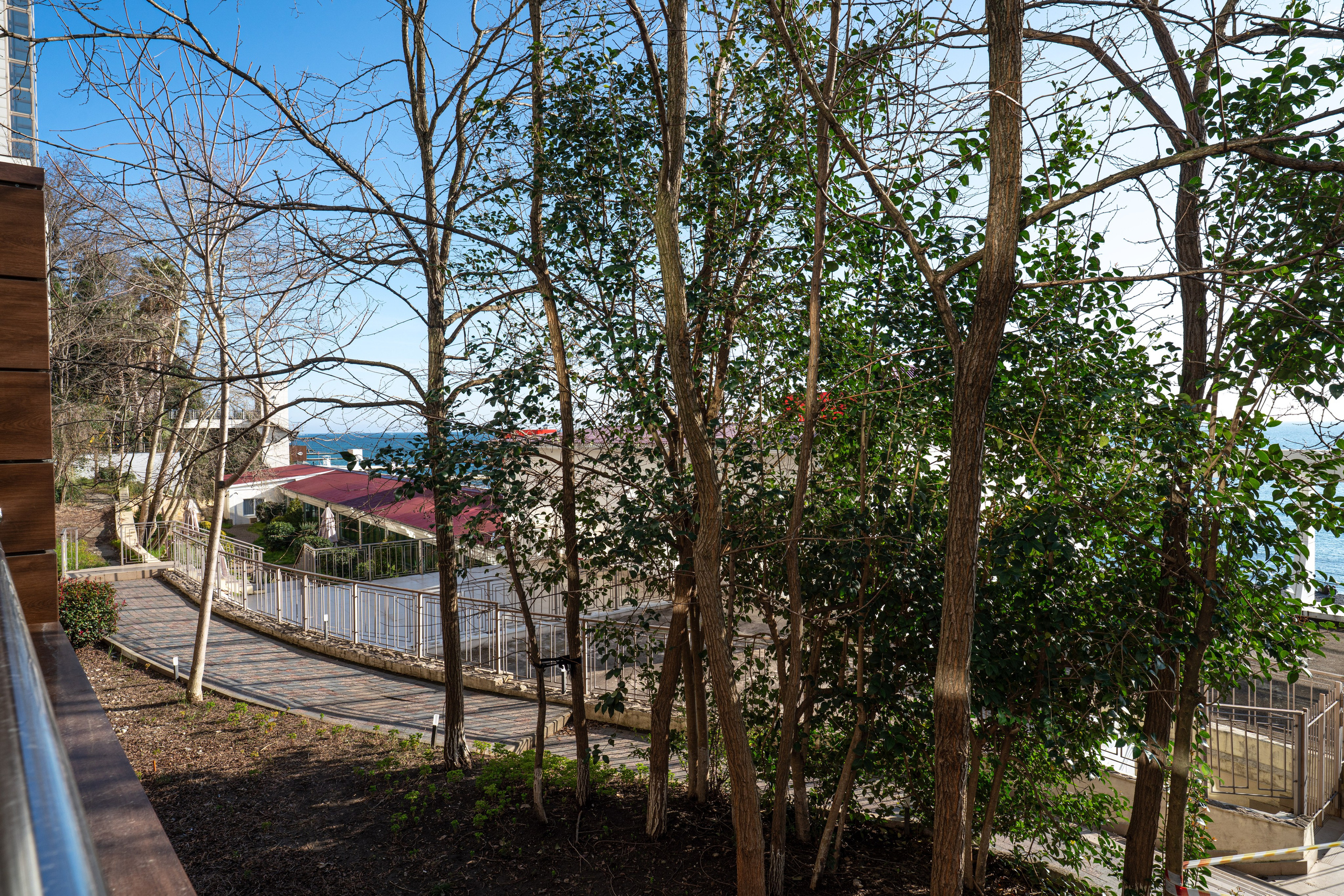 24032026. Фотограф Сочи