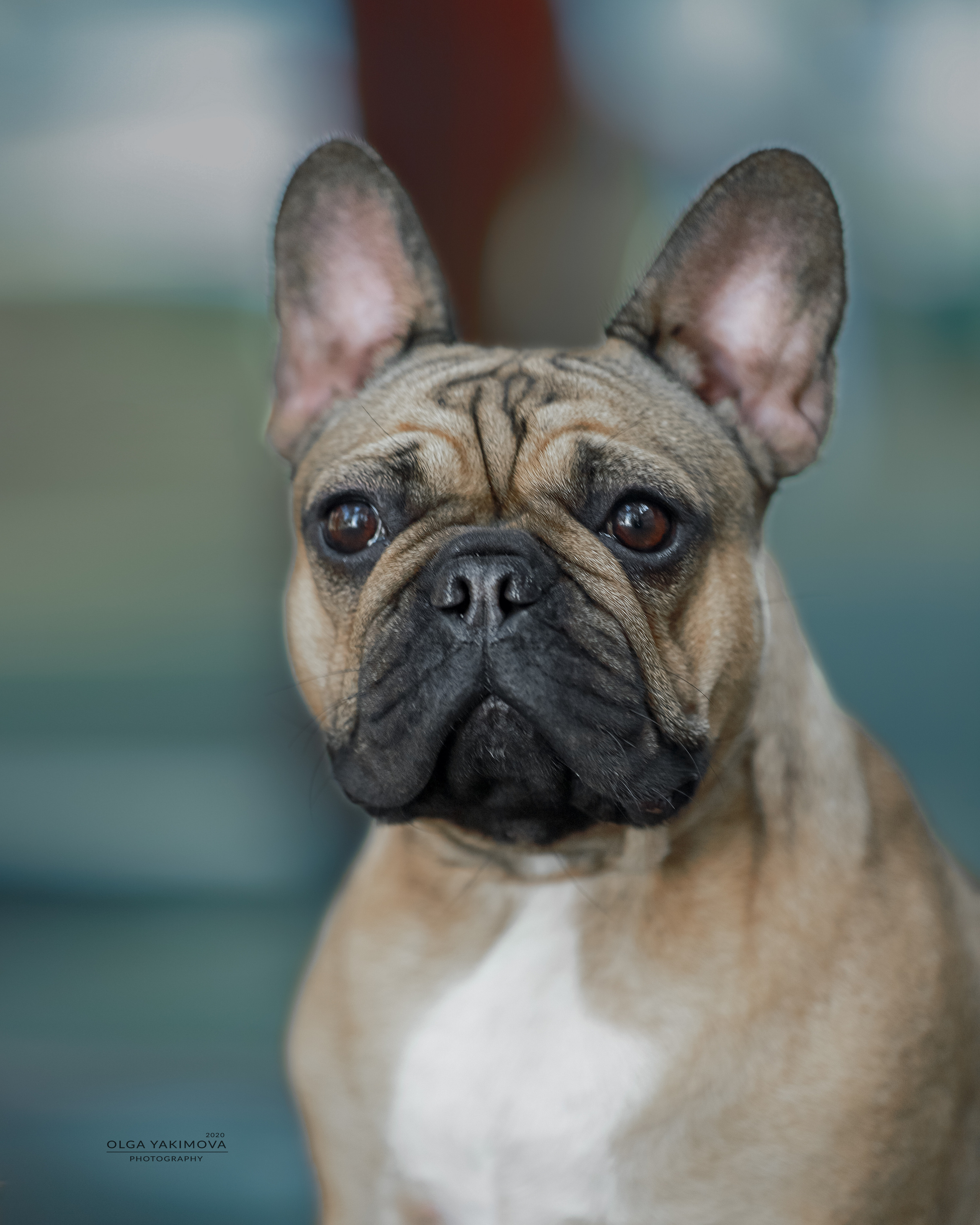 Экстерьер. Фотограф