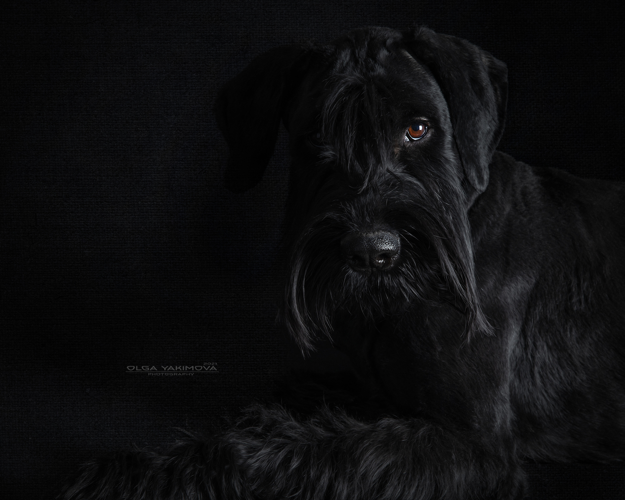 Экстерьер. Фотограф