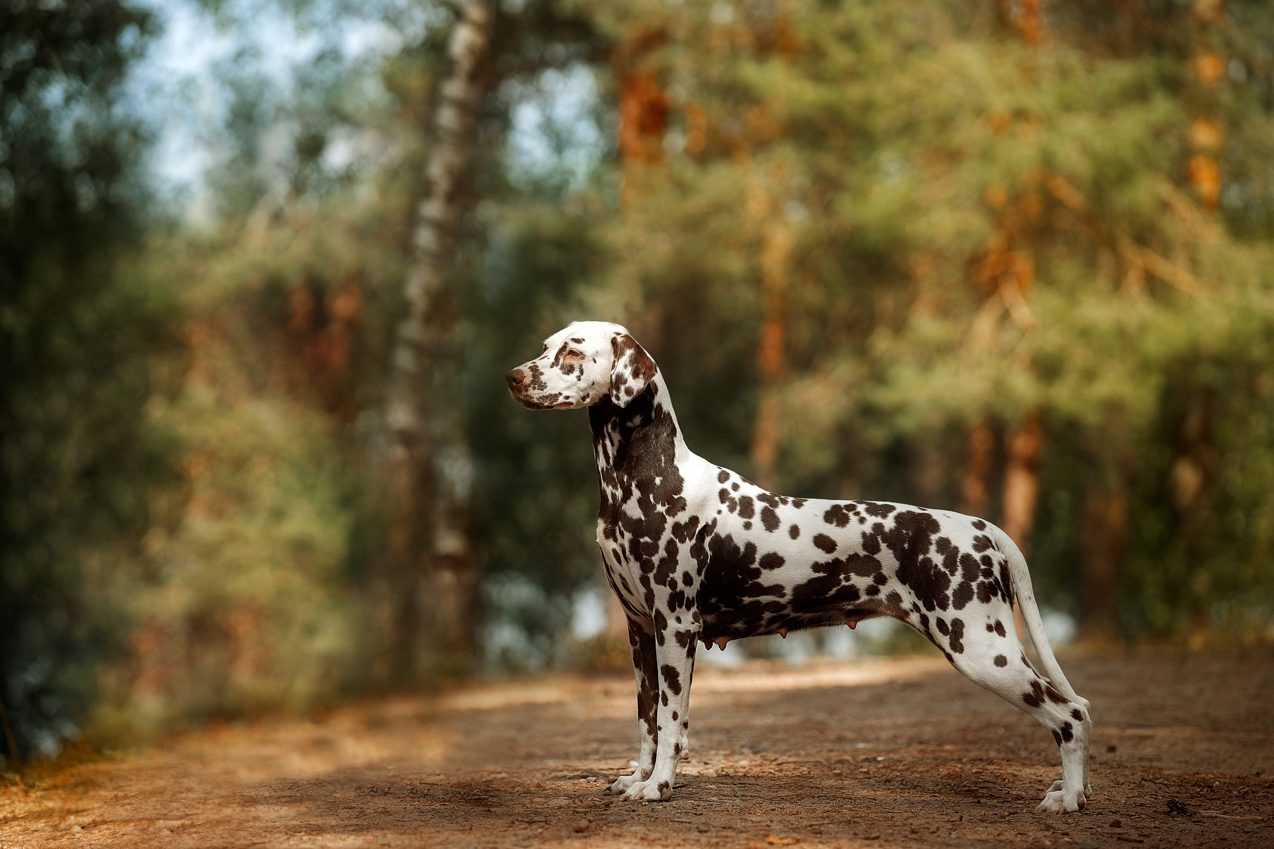 Экстерьер. Фотограф