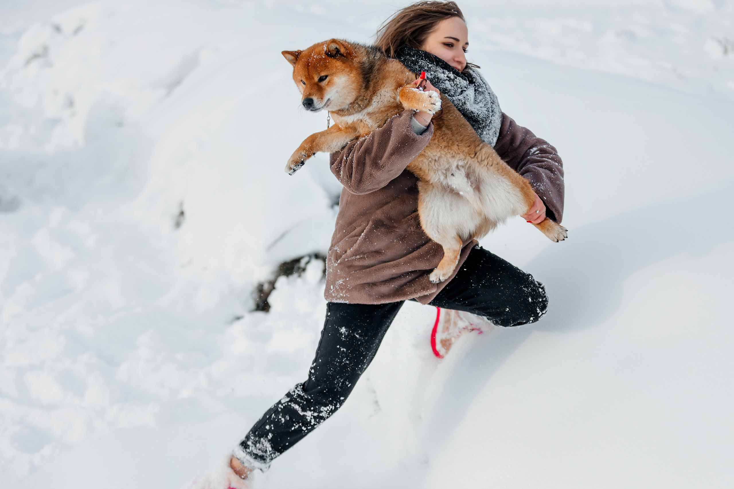 Сиба. Фотограф
