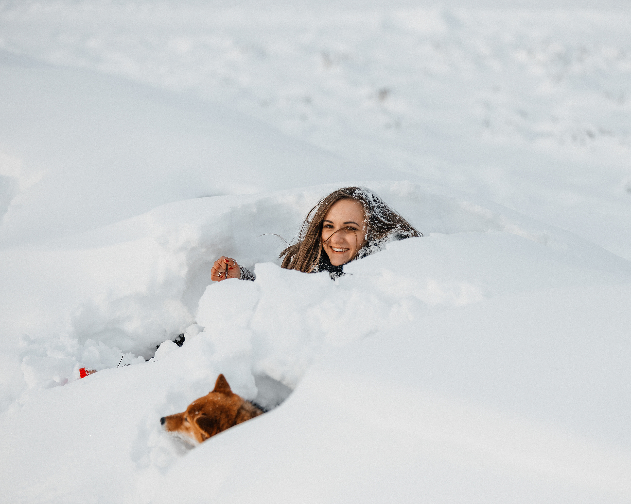 Сиба. Фотограф