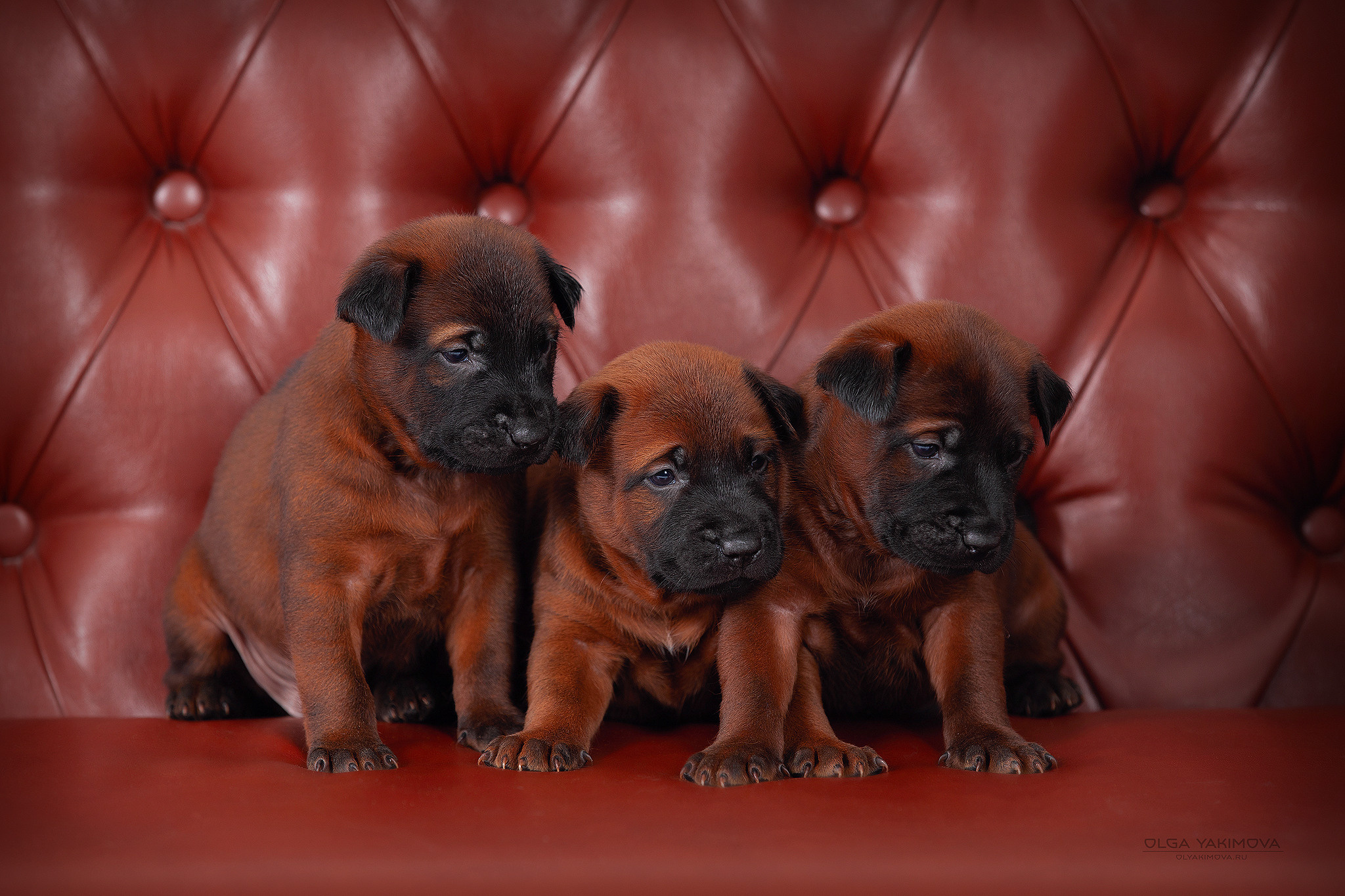 Экстерьер. Фотограф