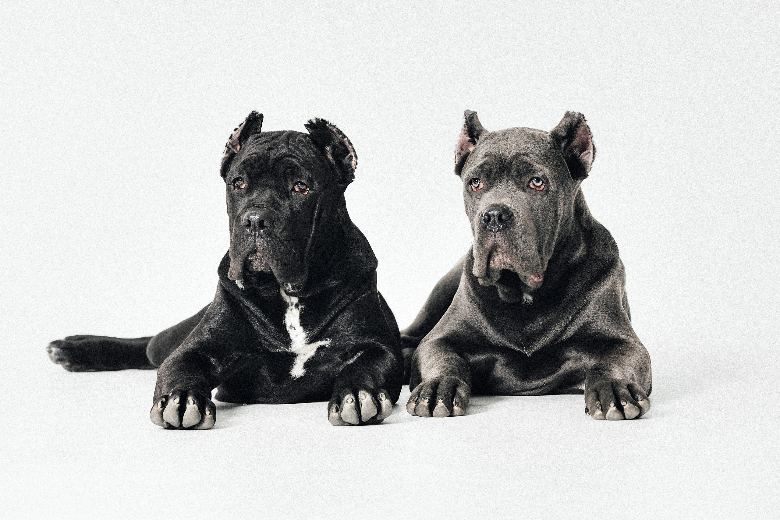 Экстерьер. Фотограф