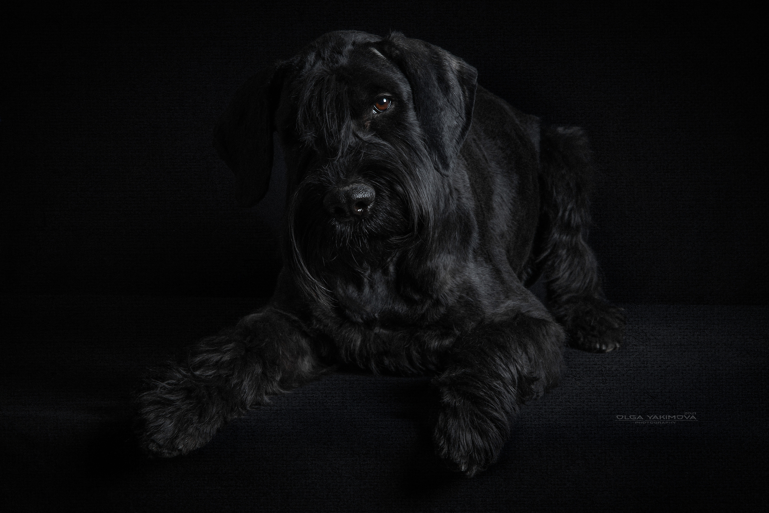 Экстерьер. Фотограф