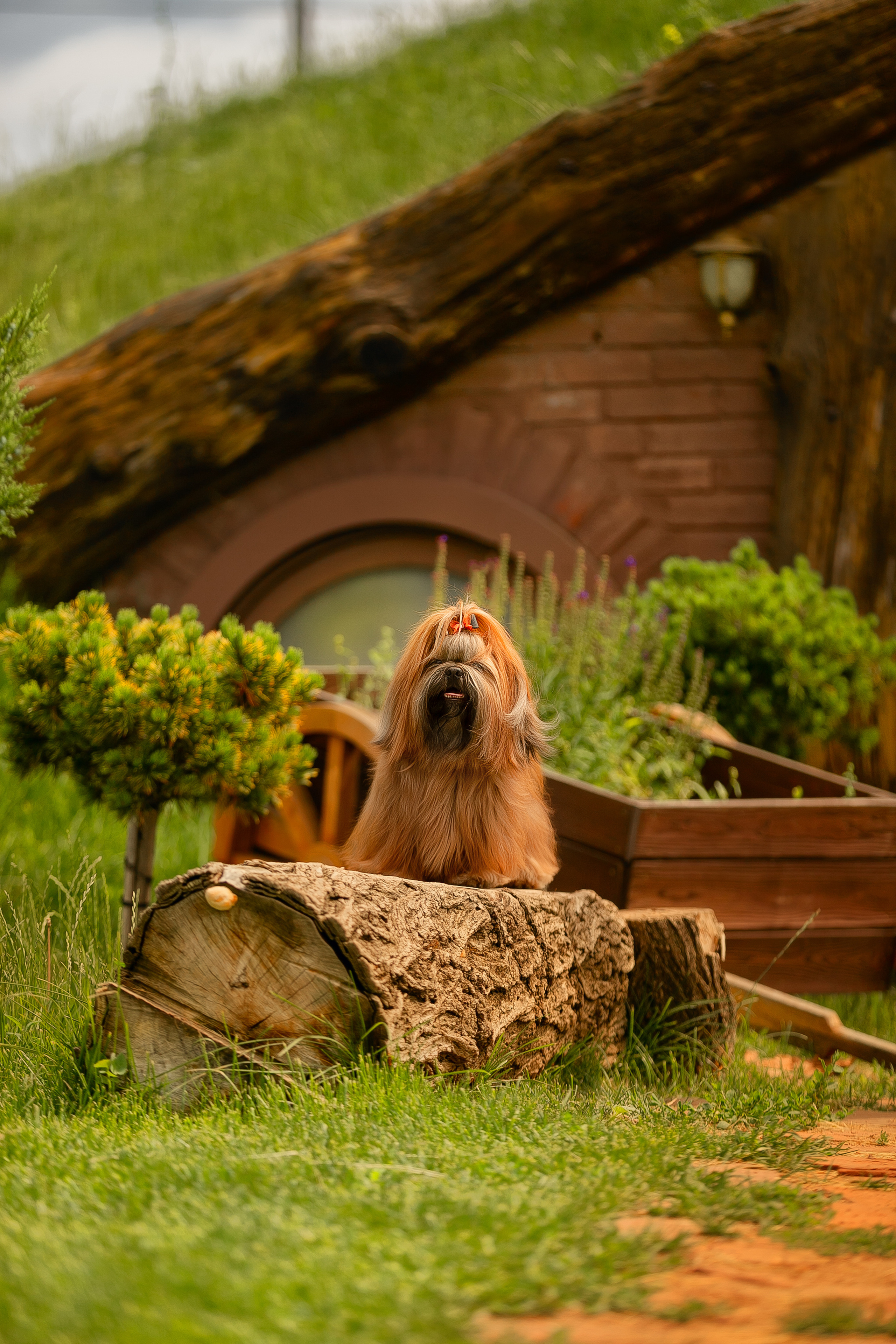 Экстерьер. Фотограф