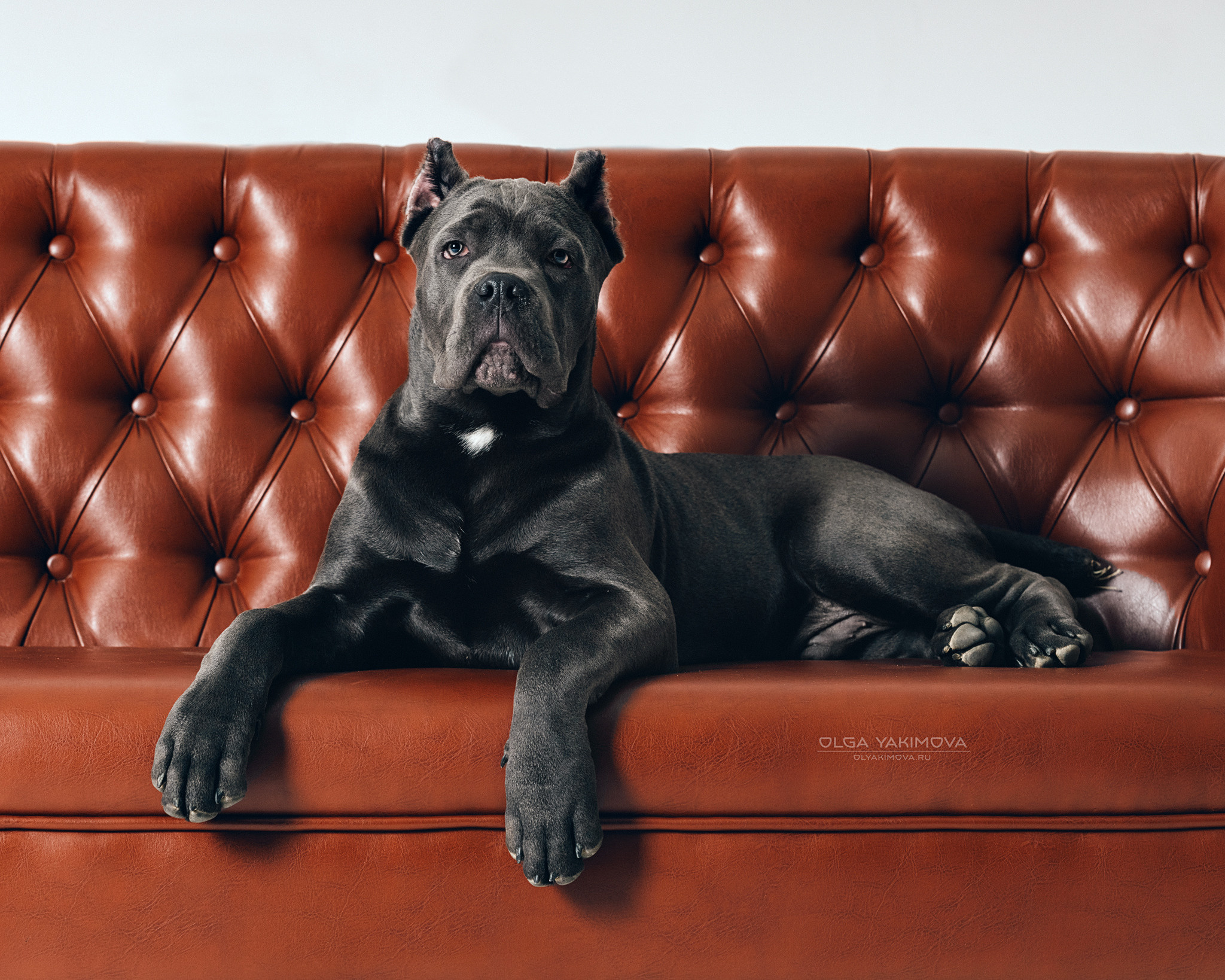 Экстерьер. Фотограф