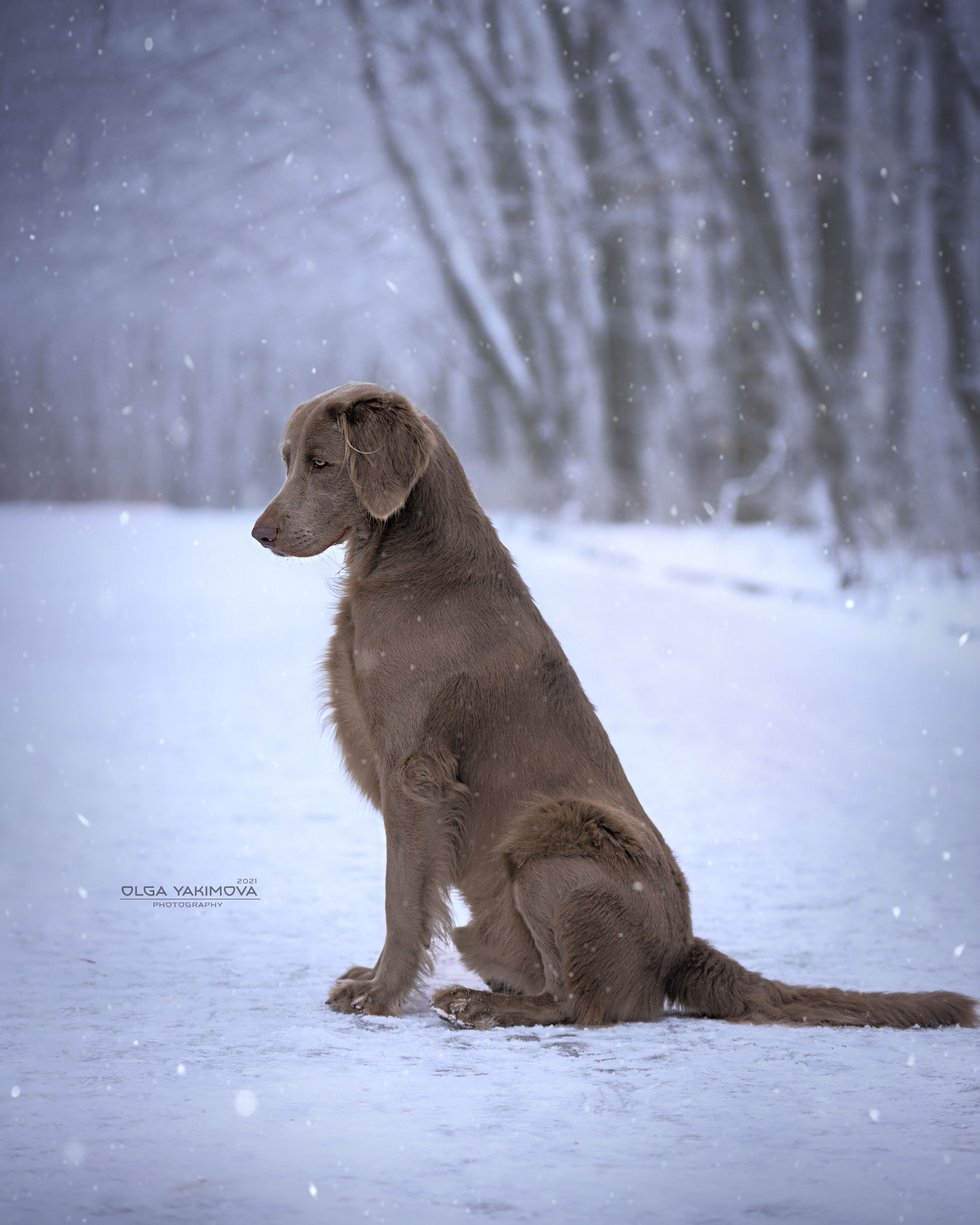 Экстерьер. Фотограф