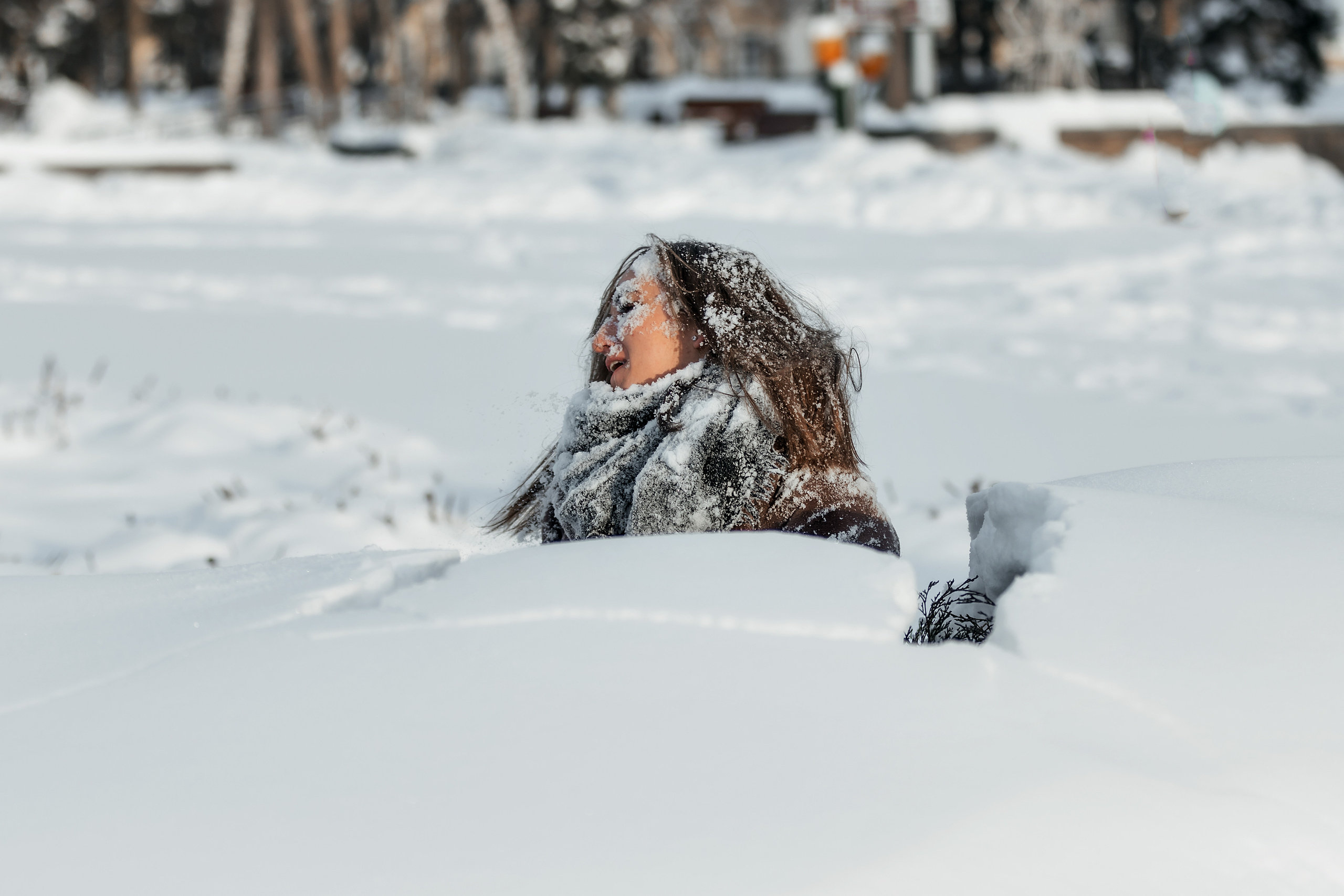 Сиба. Фотограф