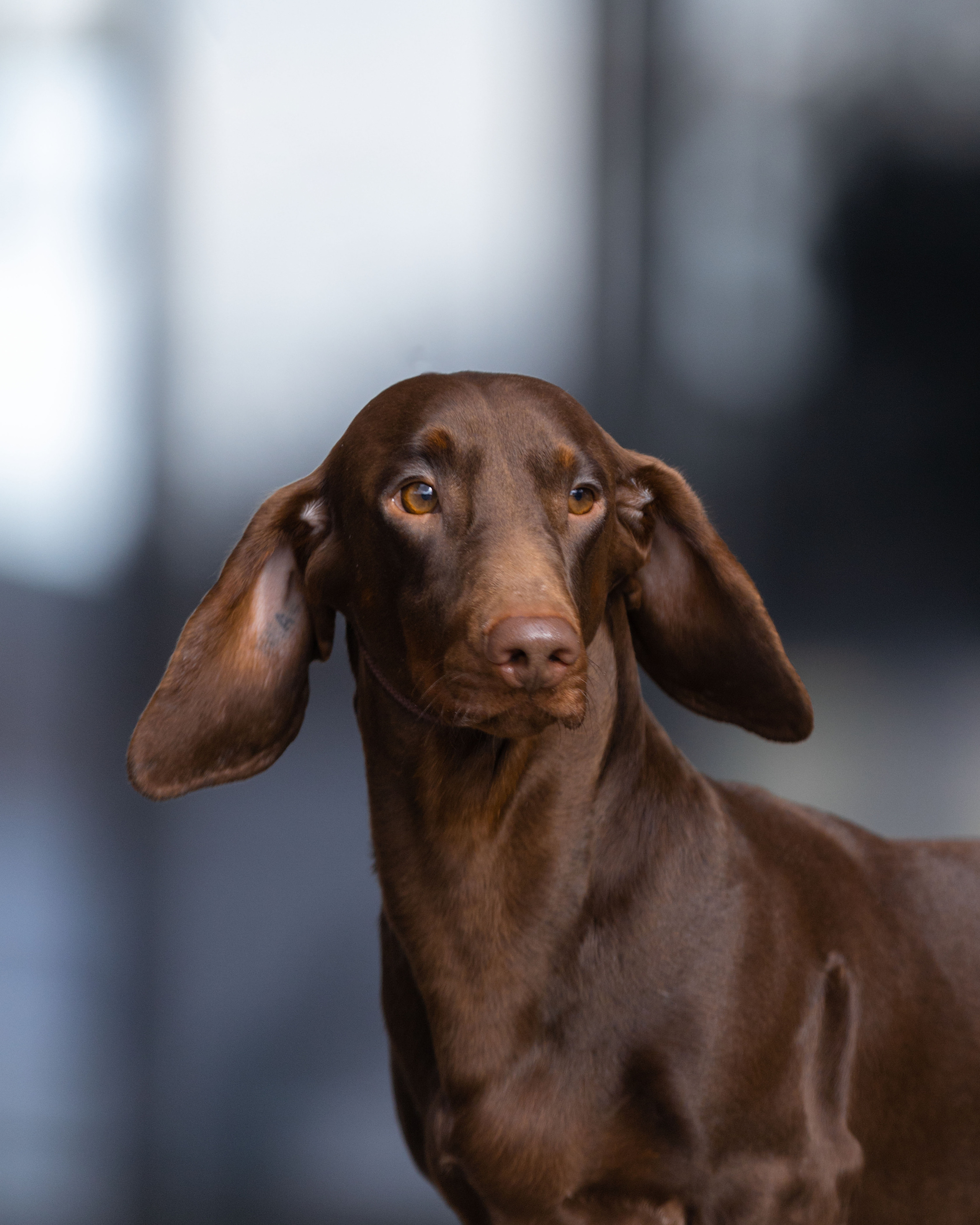 Экстерьер. Фотограф