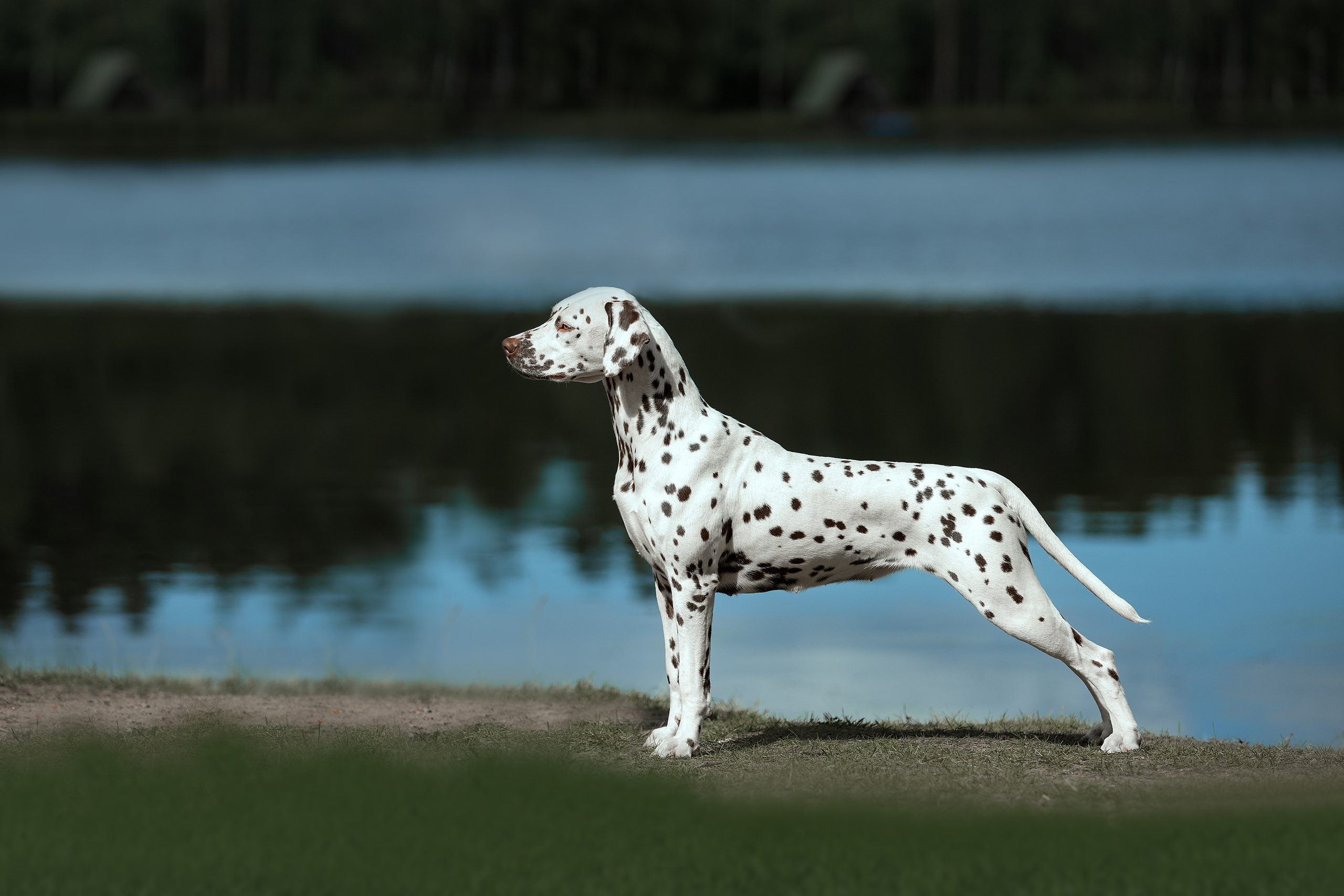 Экстерьер. Фотограф