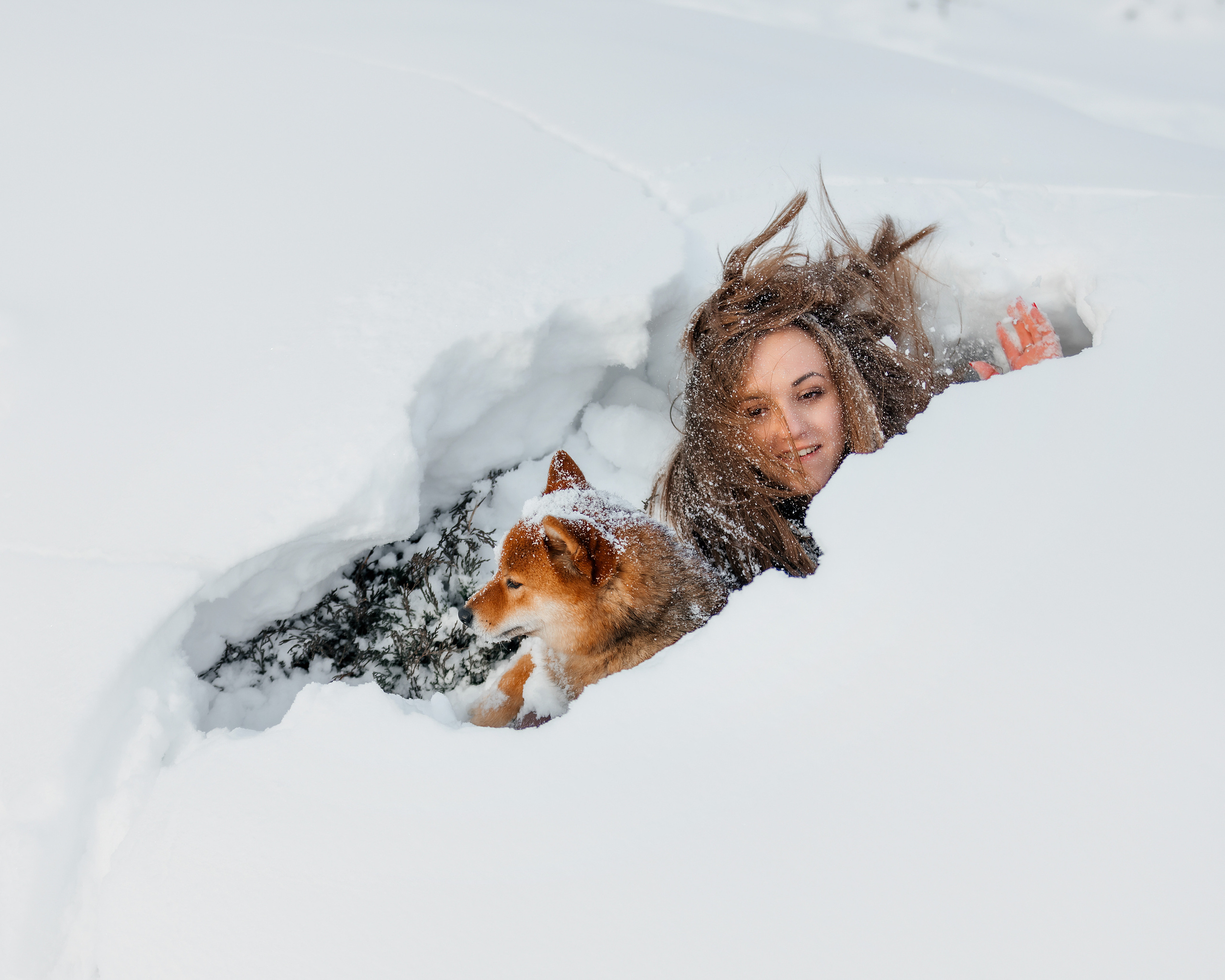 Сиба. Фотограф