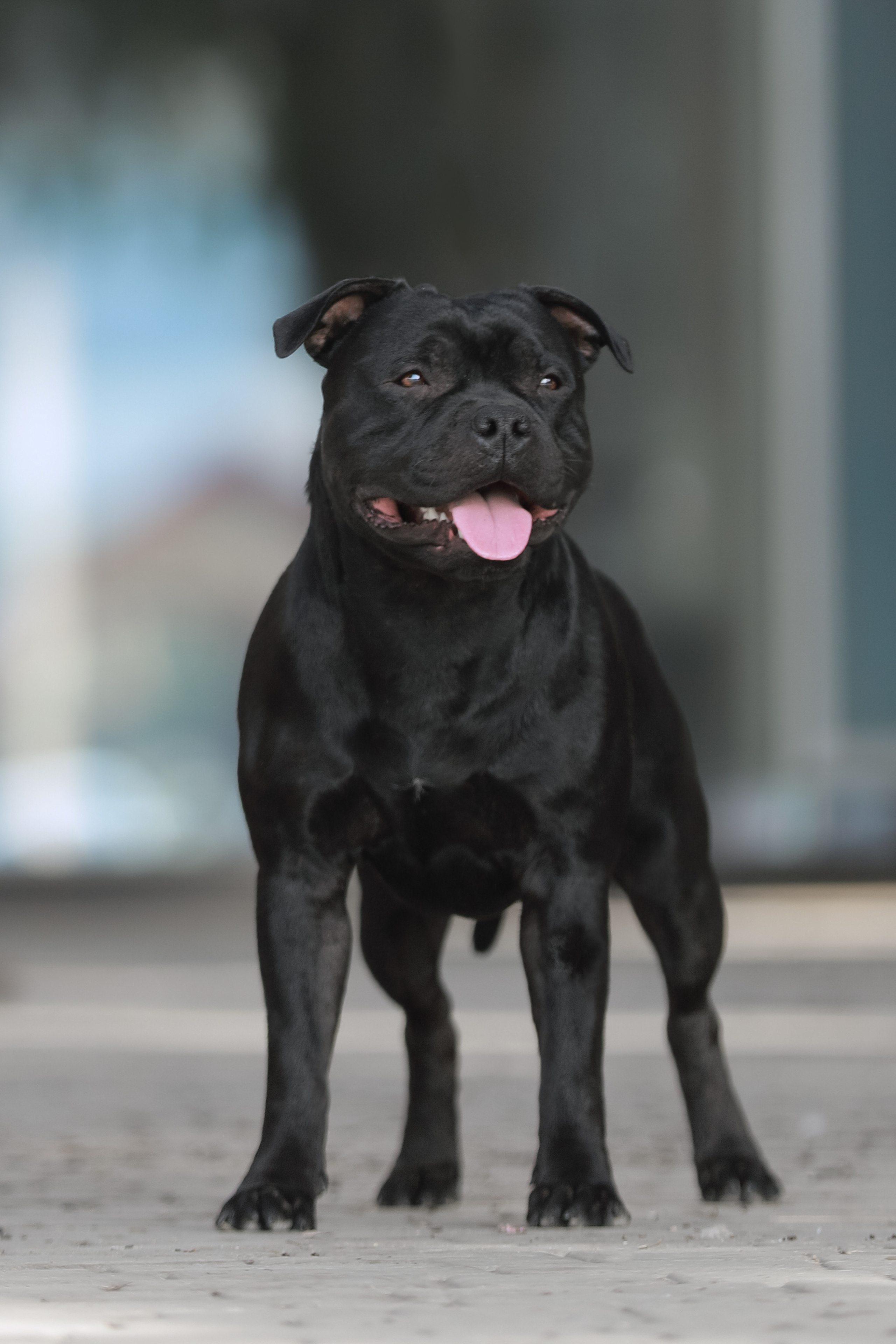 Экстерьер. Фотограф