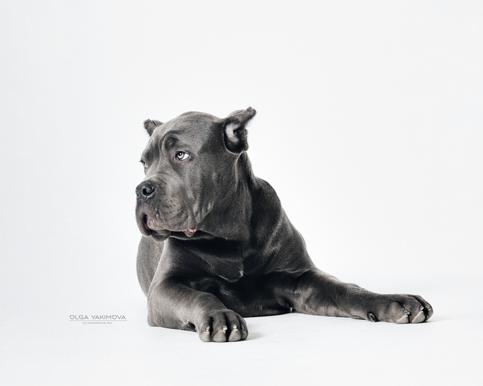 Экстерьер. Фотограф