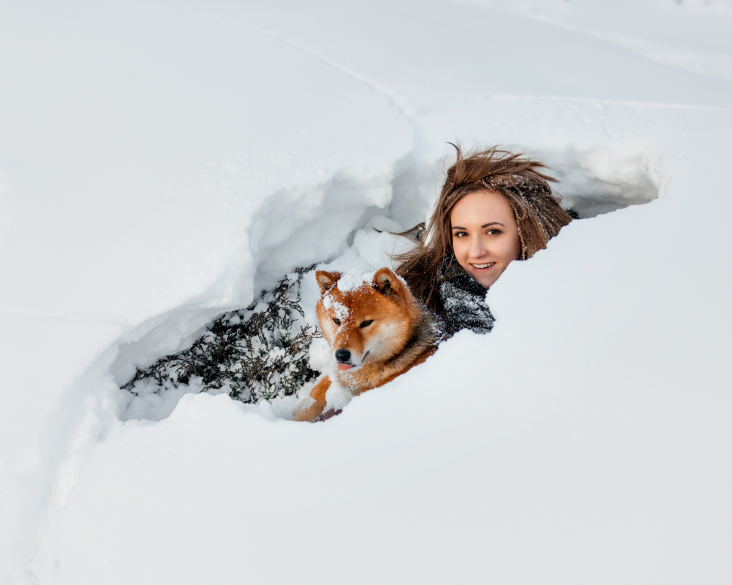 Сиба. Фотограф