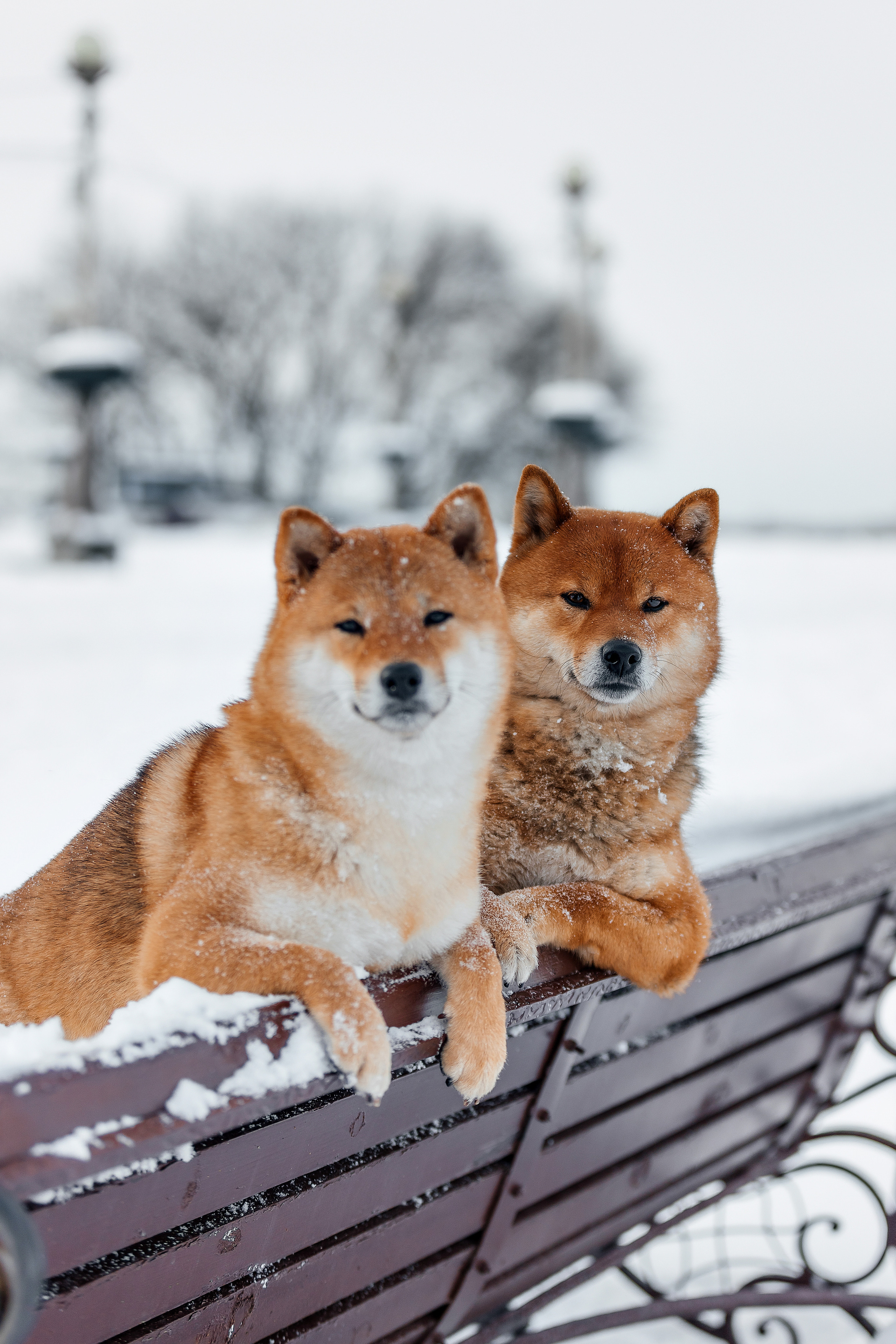 Экстерьер. Фотограф