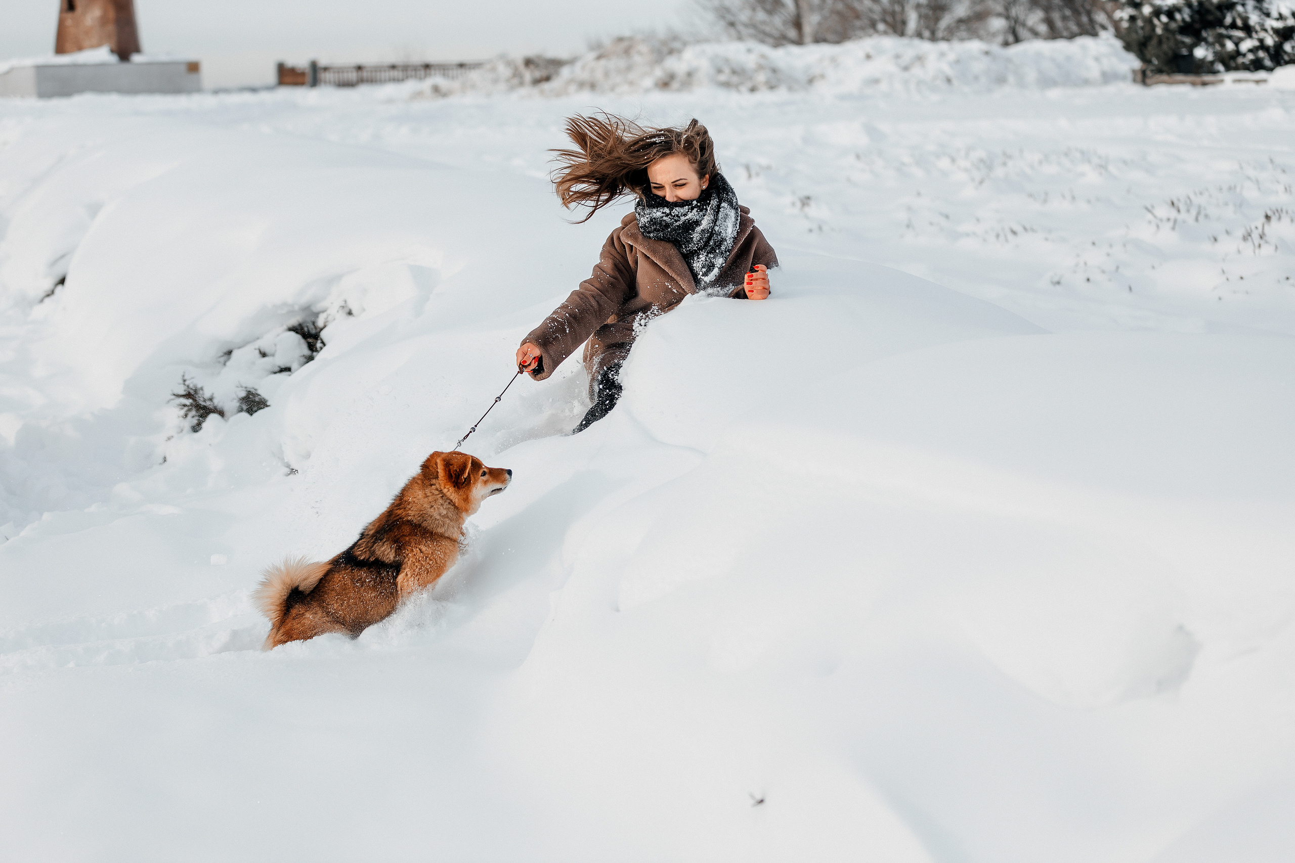 Сиба. Фотограф