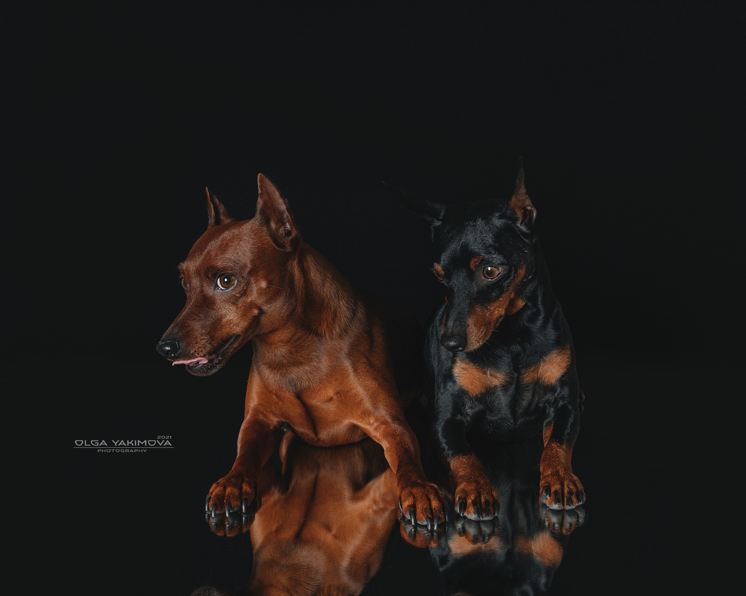 Экстерьер. Фотограф