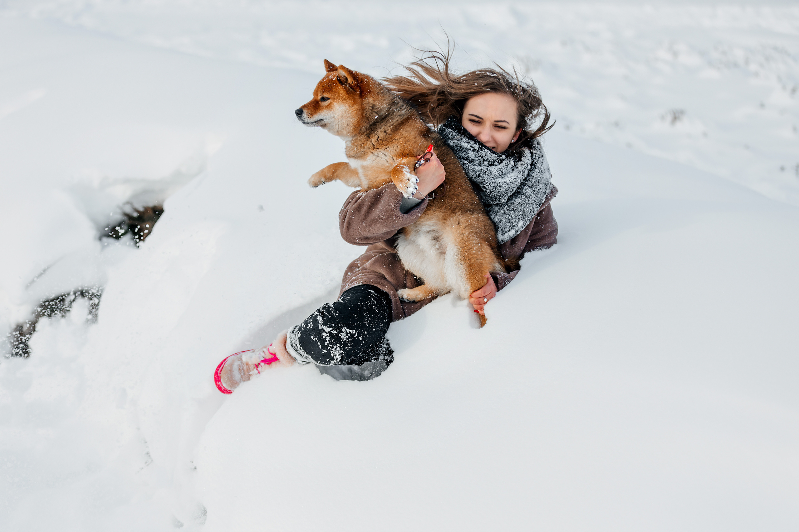 Сиба. Фотограф