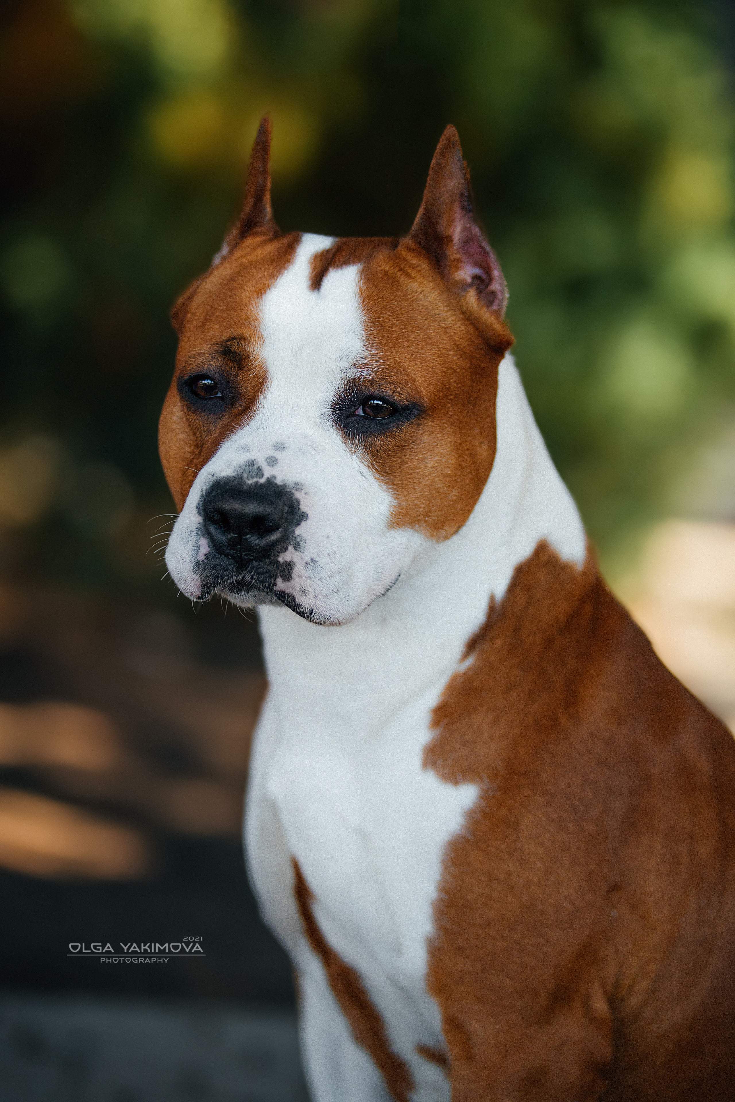 Экстерьер. Фотограф