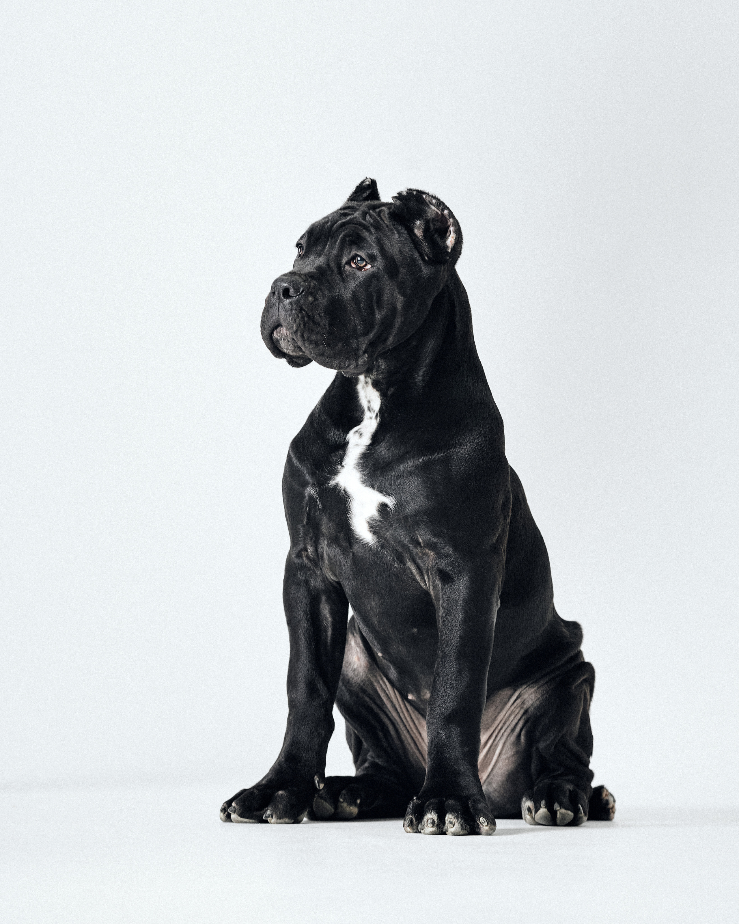 Экстерьер. Фотограф