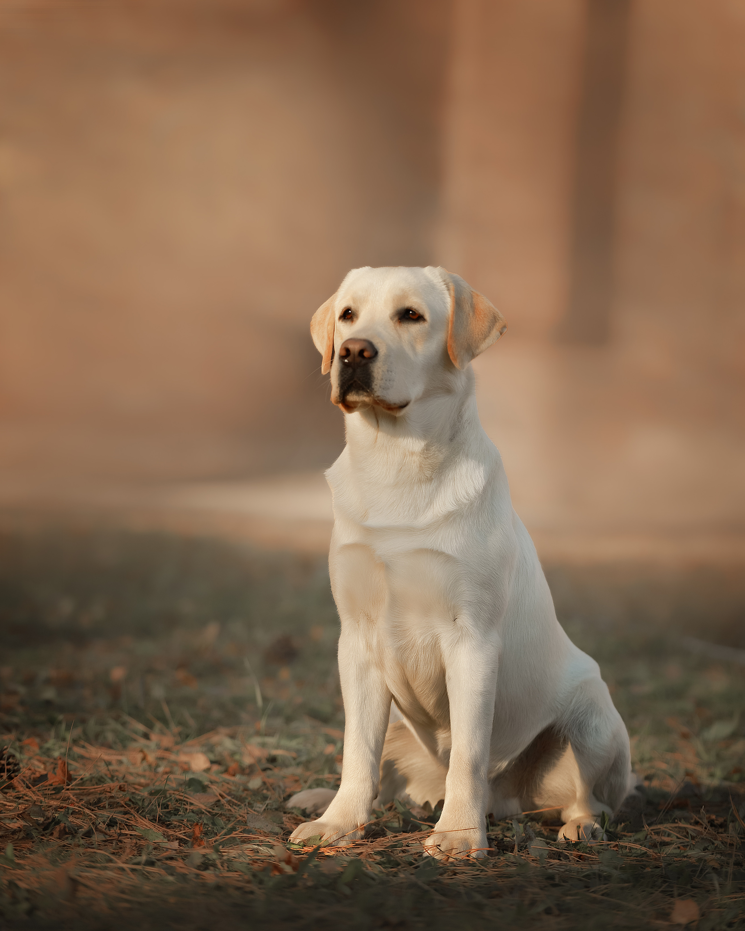 Экстерьер. Фотограф