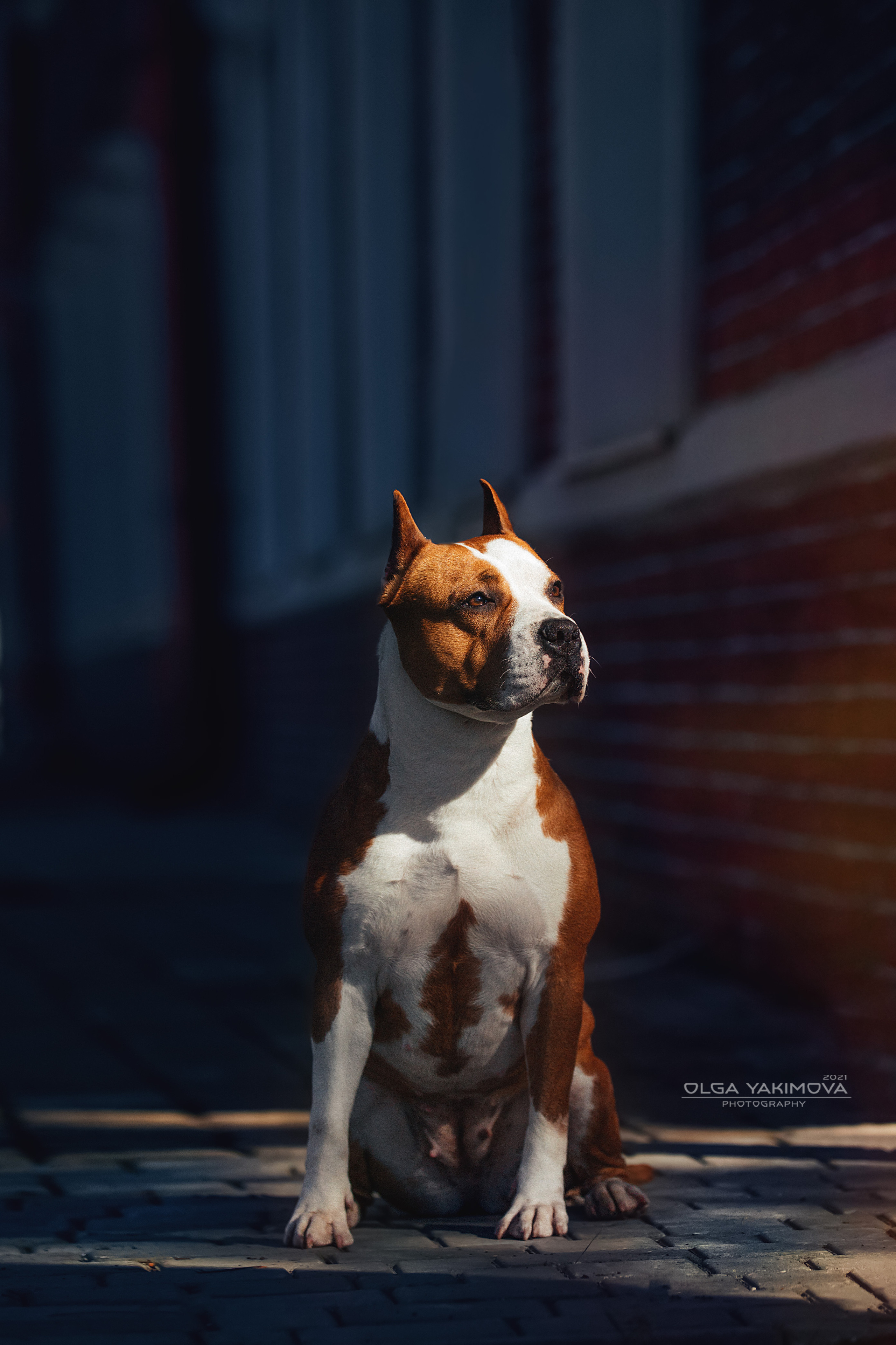 Экстерьер. Фотограф