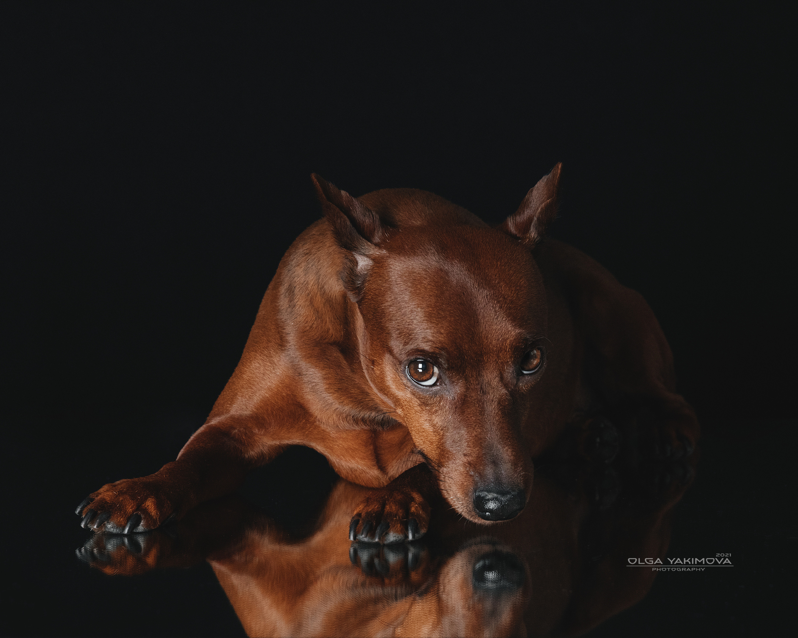 Экстерьер. Фотограф