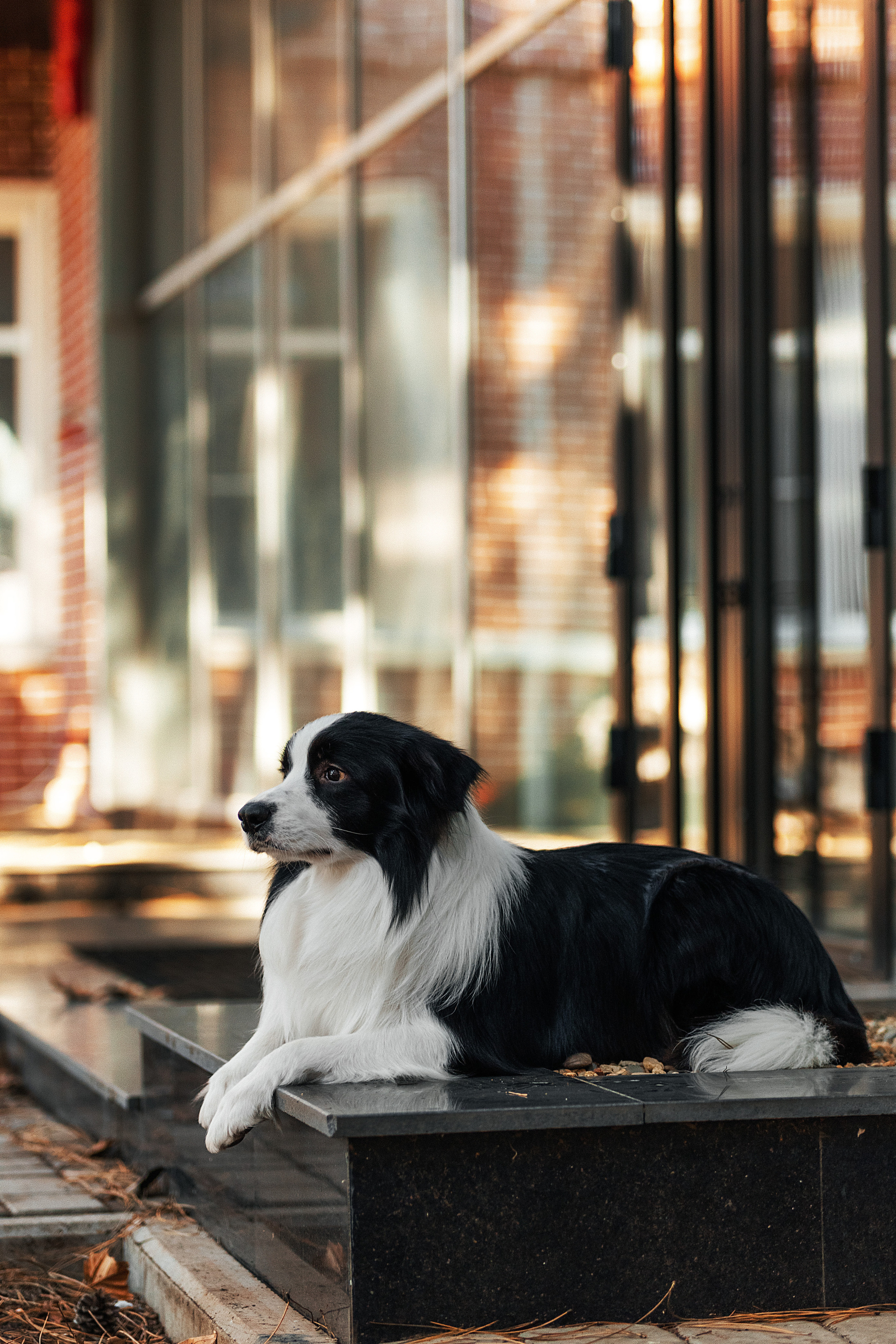 Экстерьер. Фотограф