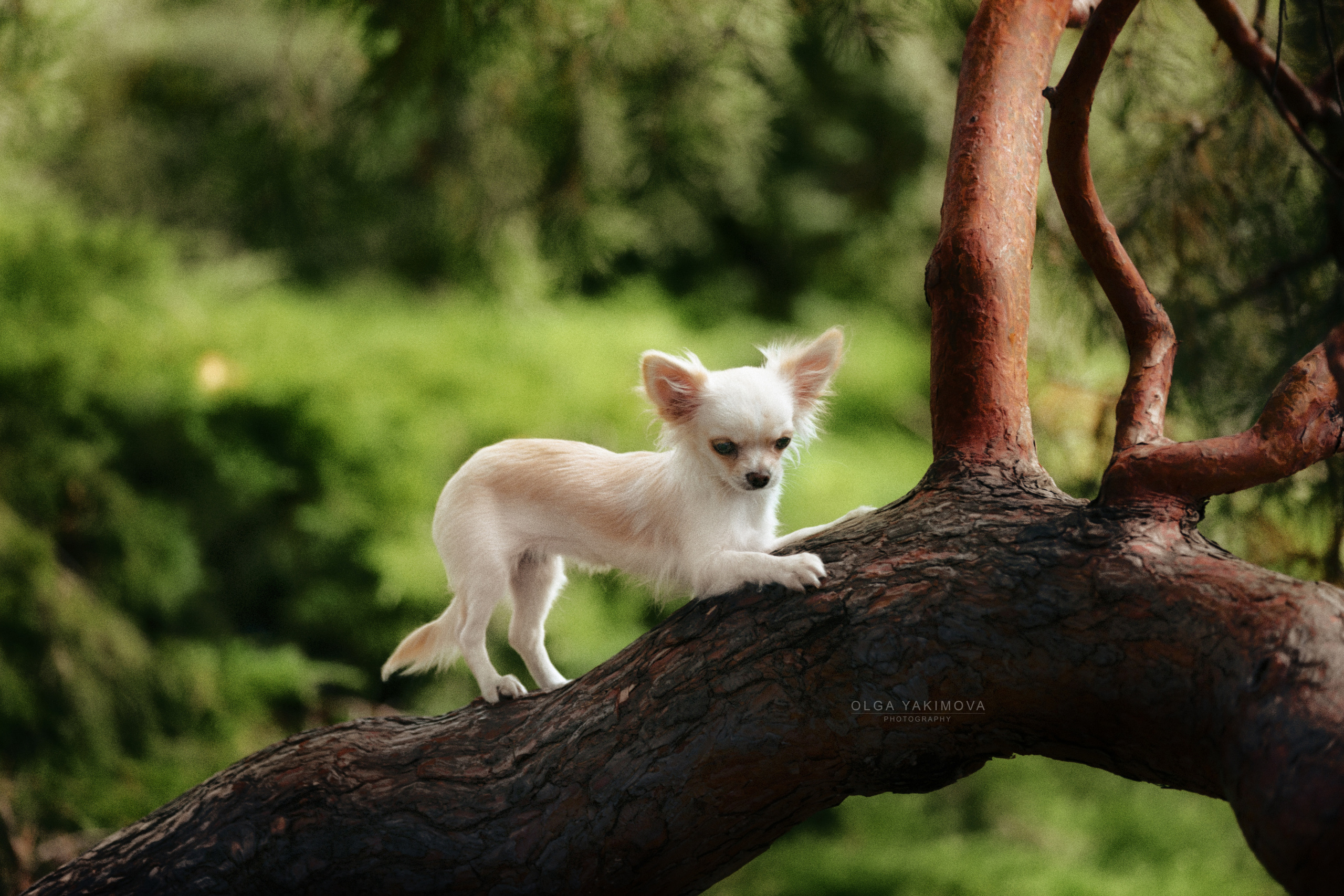 Экстерьер. Фотограф