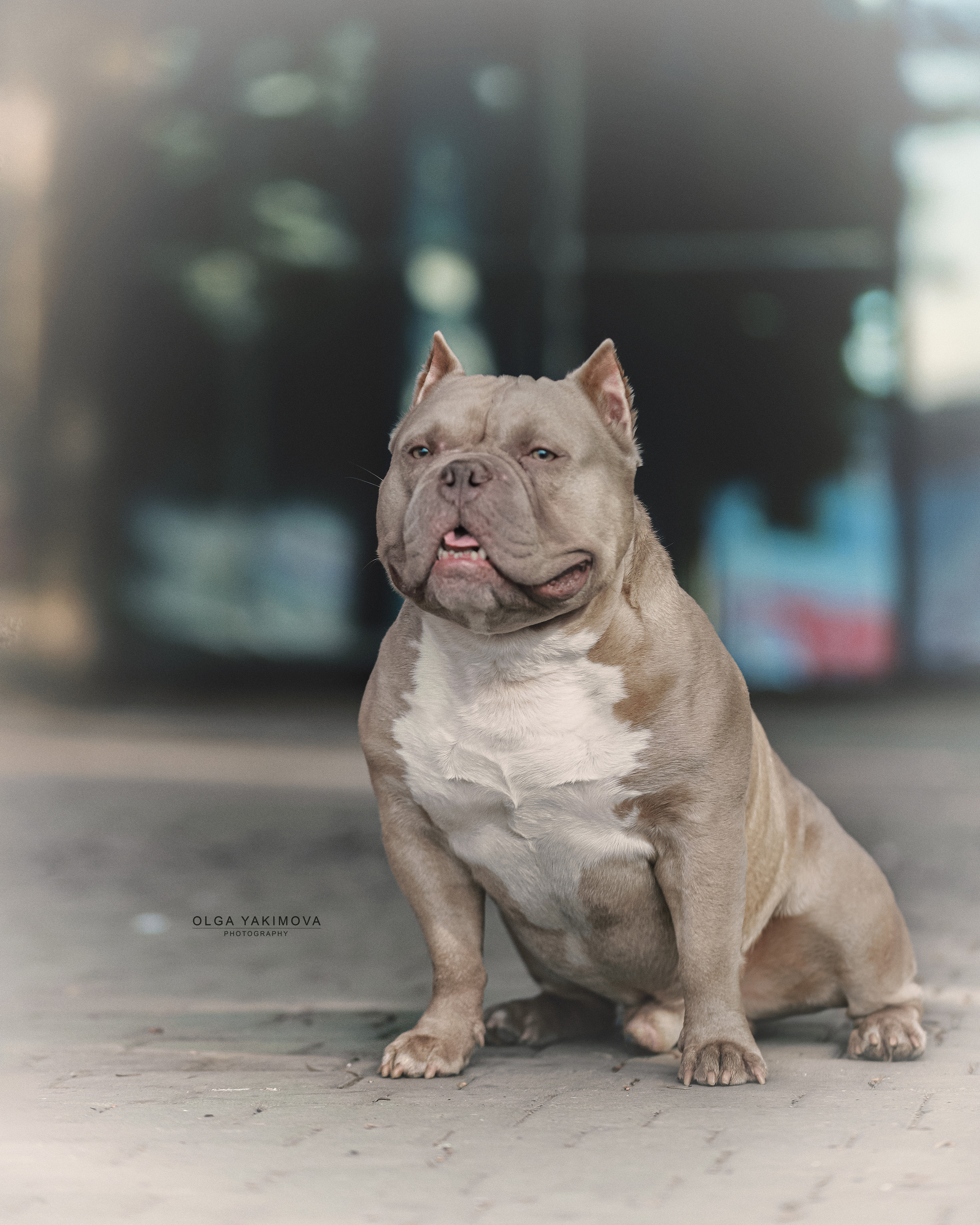 Экстерьер. Фотограф