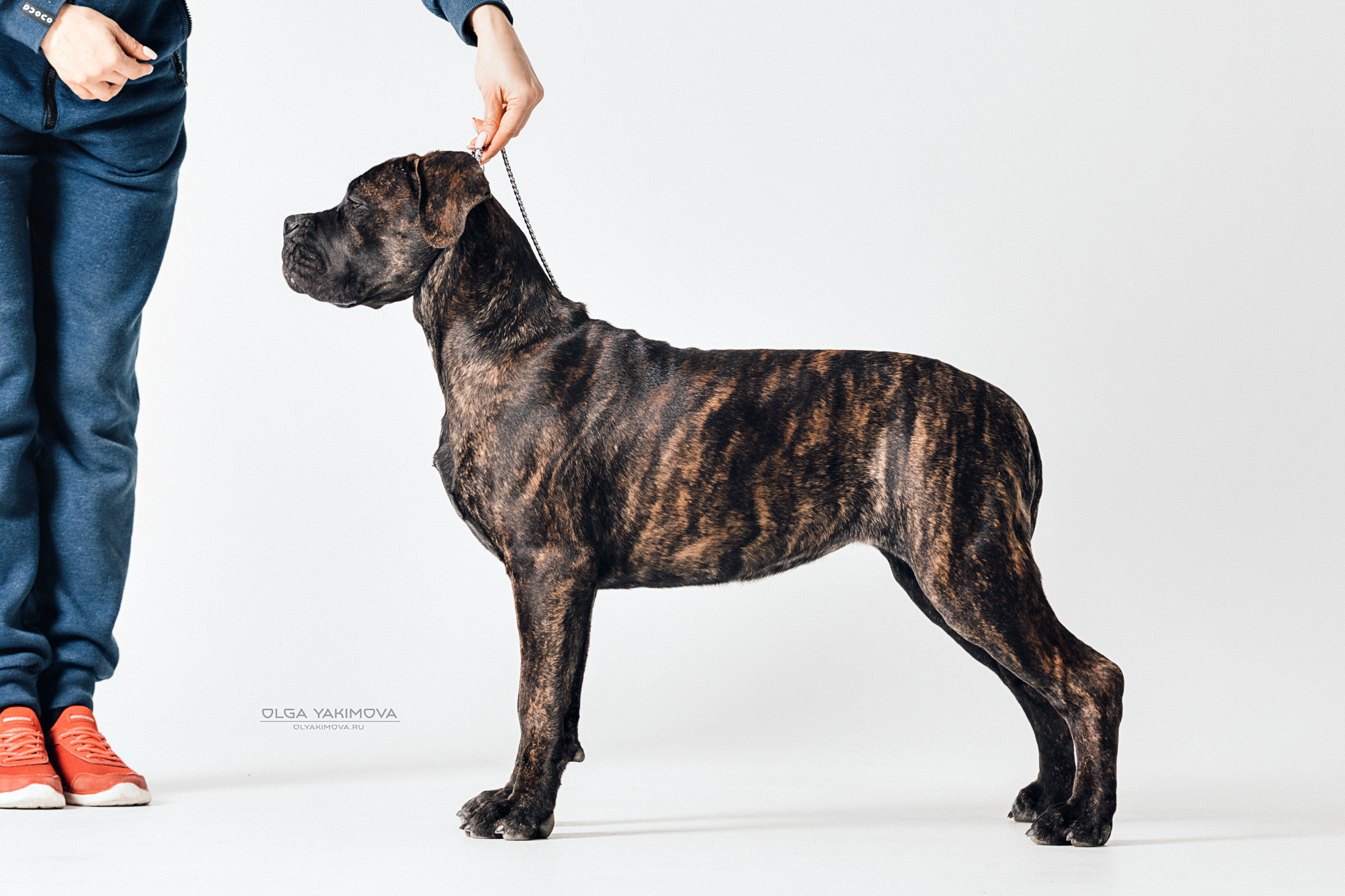 Экстерьер. Фотограф