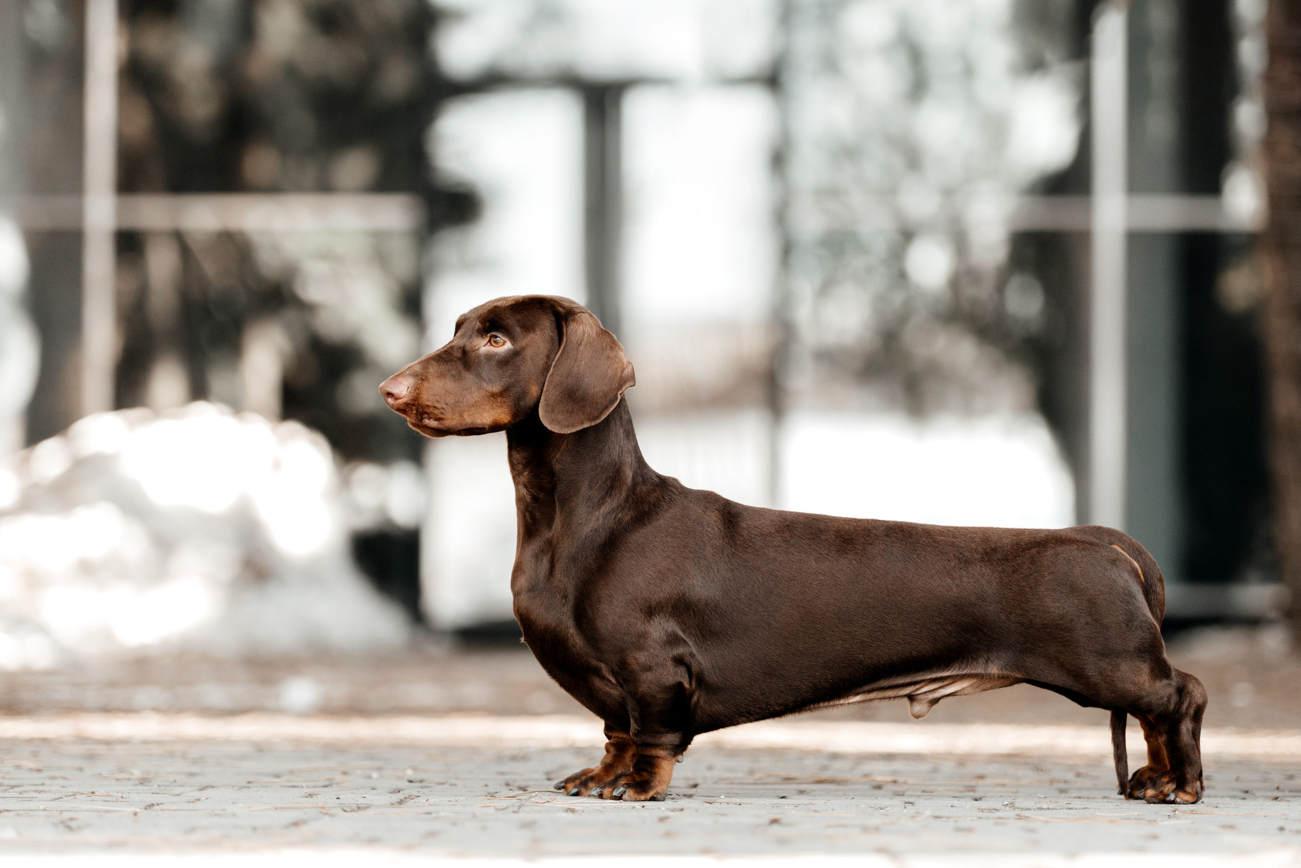 Экстерьер. Фотограф