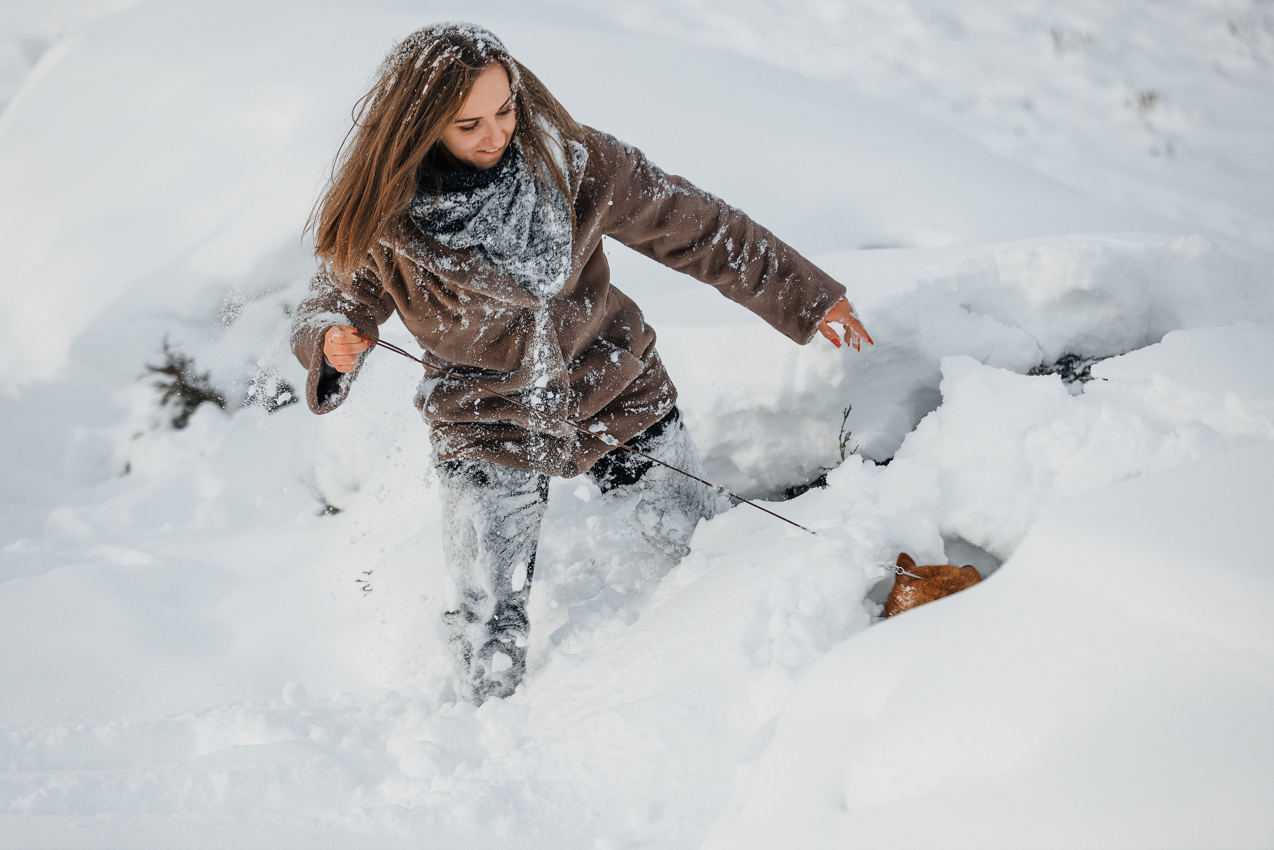 Сиба. Фотограф