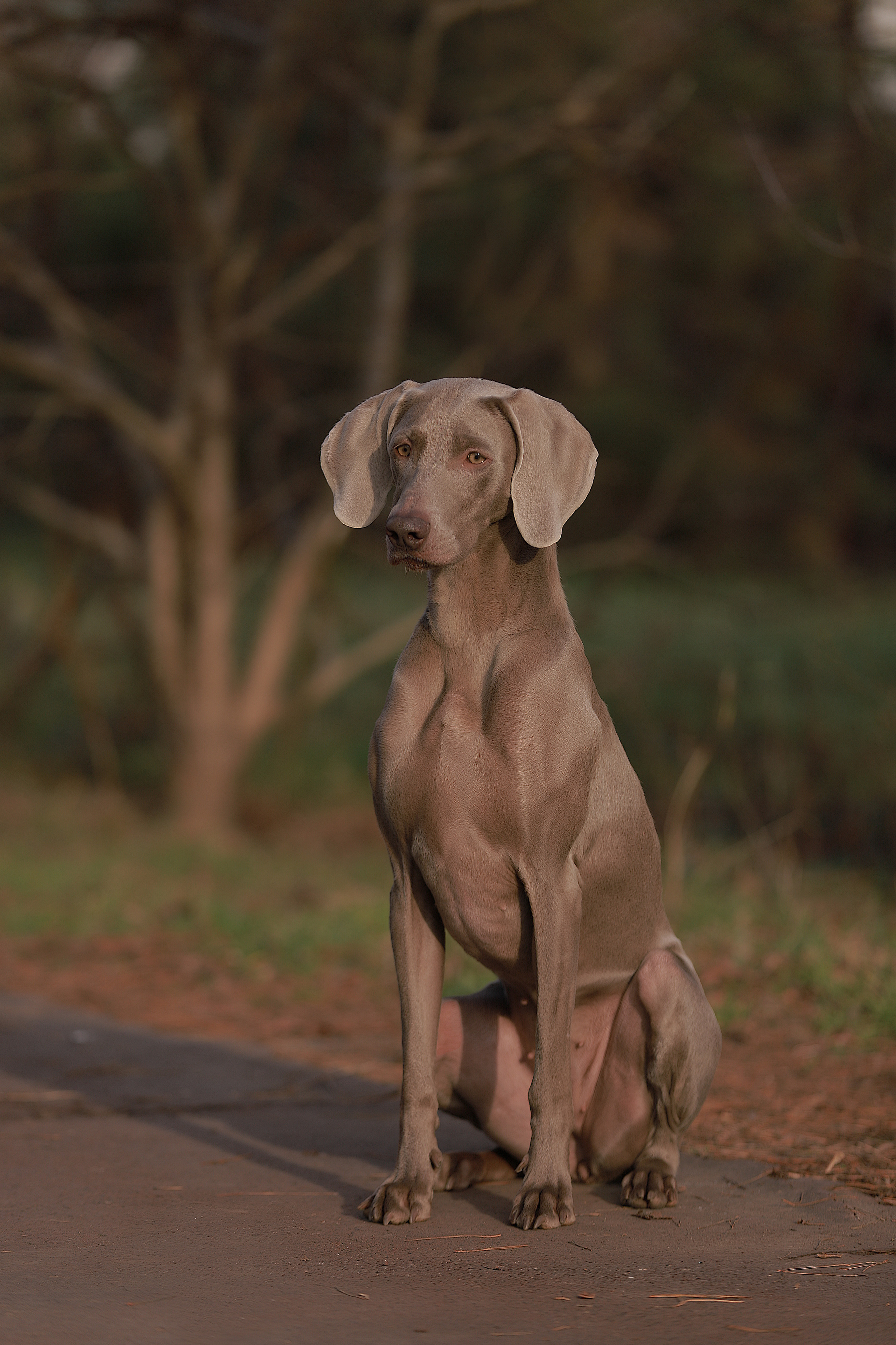 Экстерьер. Фотограф