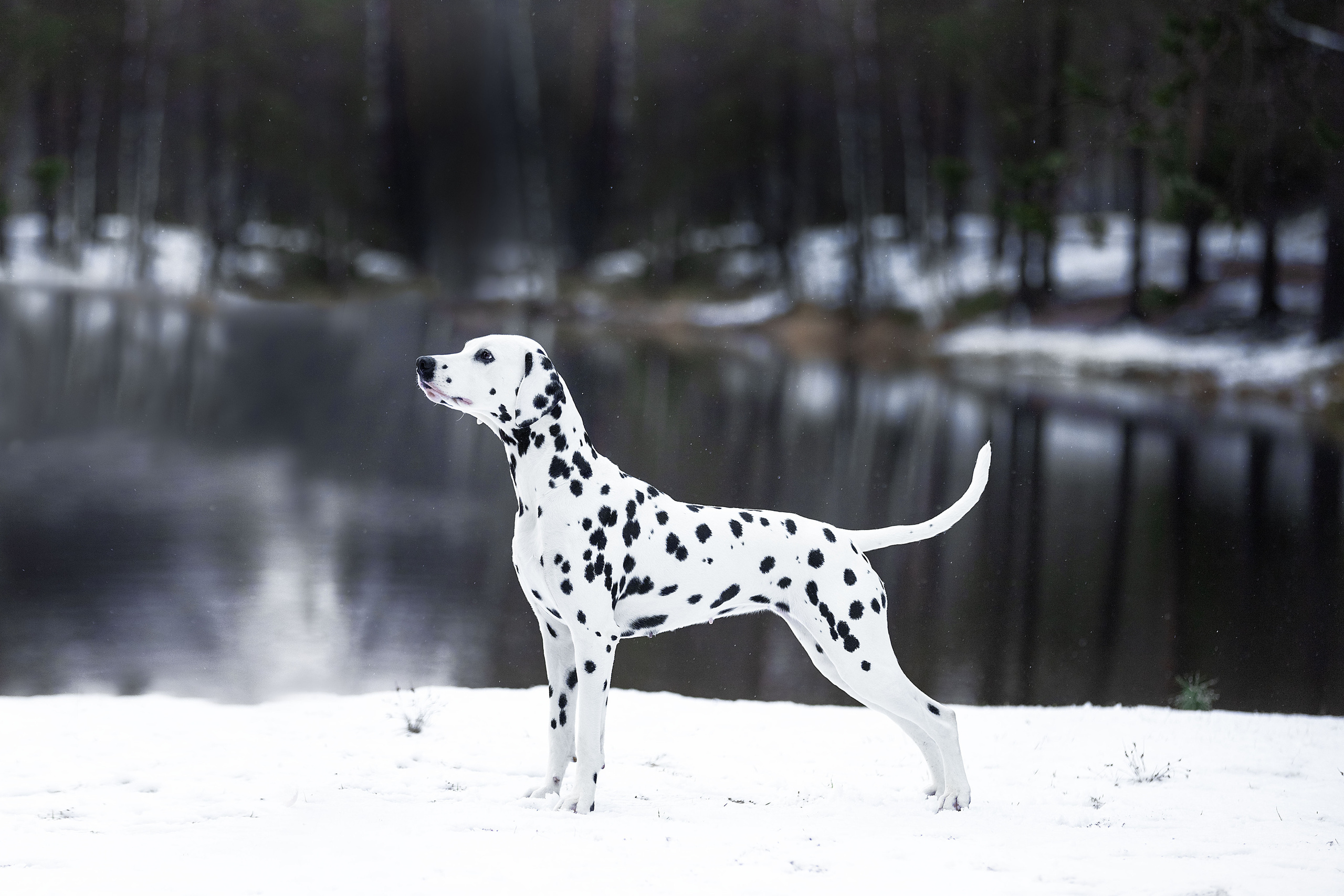 Экстерьер. Фотограф