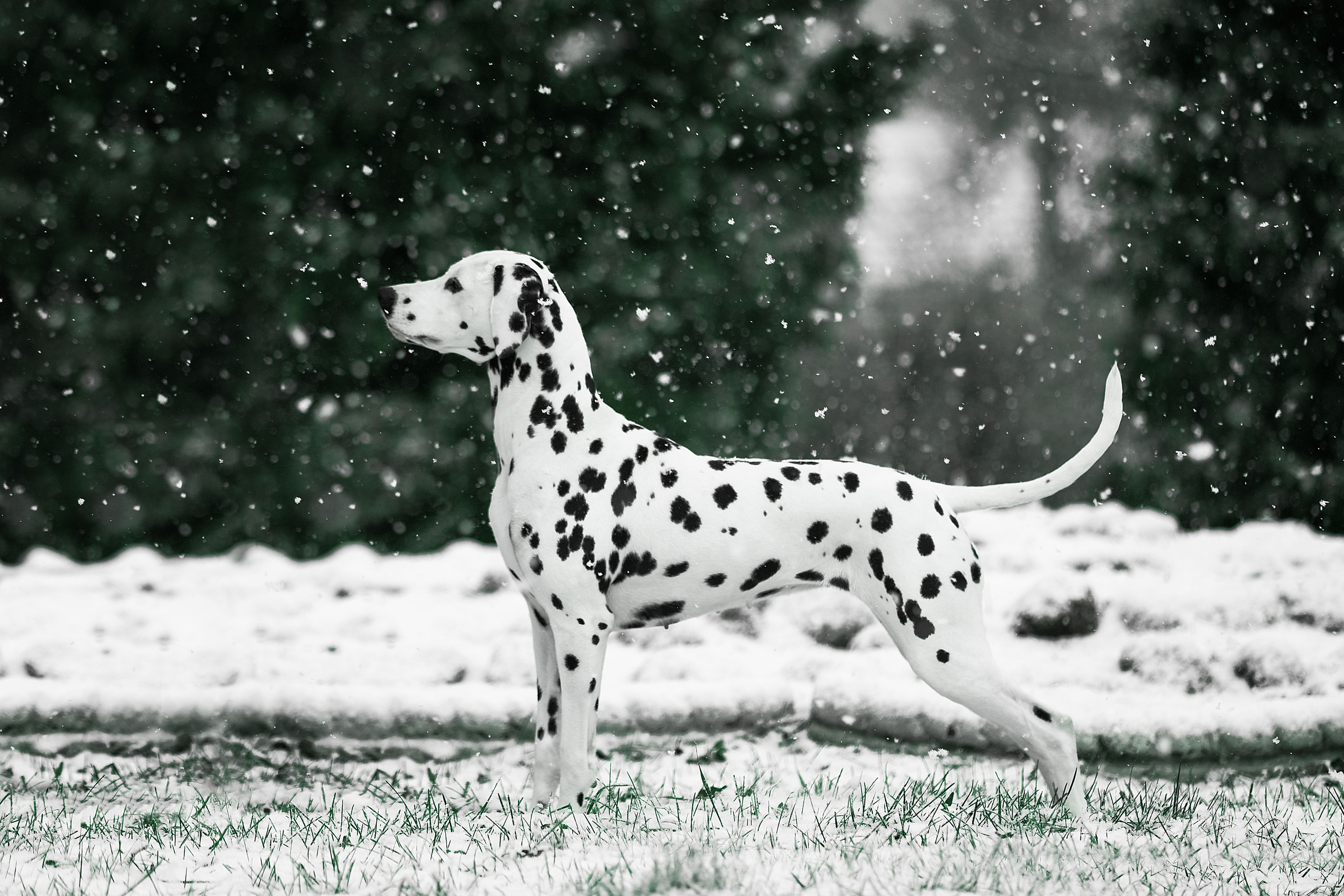 Экстерьер. Фотограф