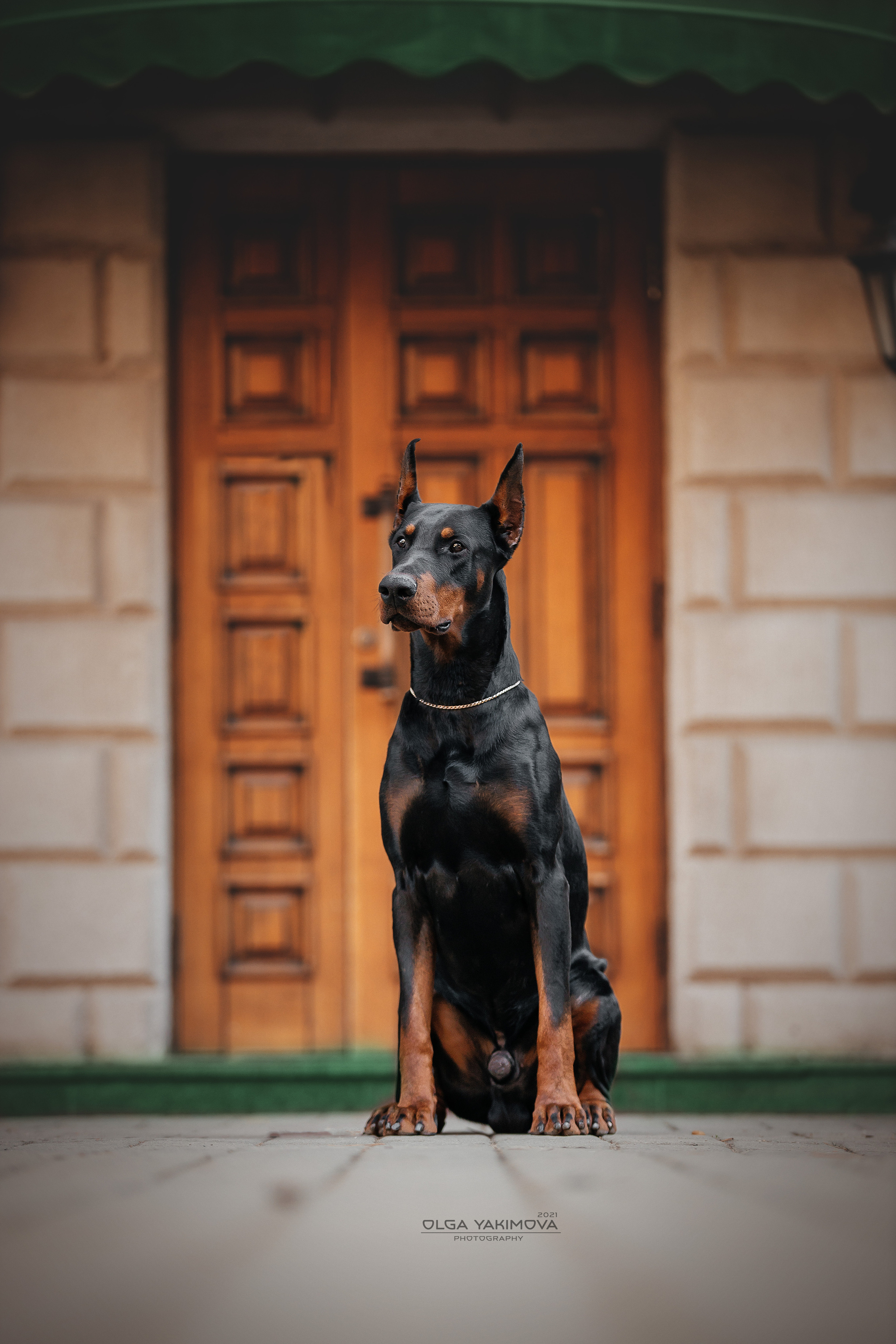 Экстерьер. Фотограф