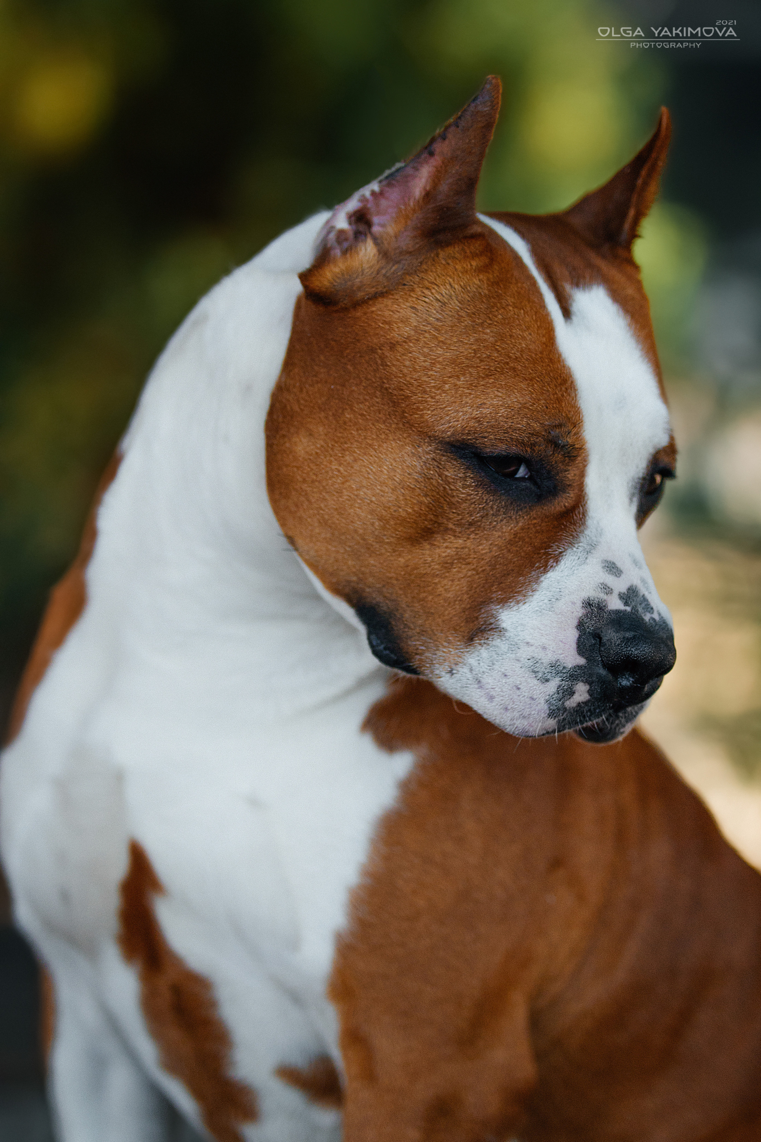 Экстерьер. Фотограф