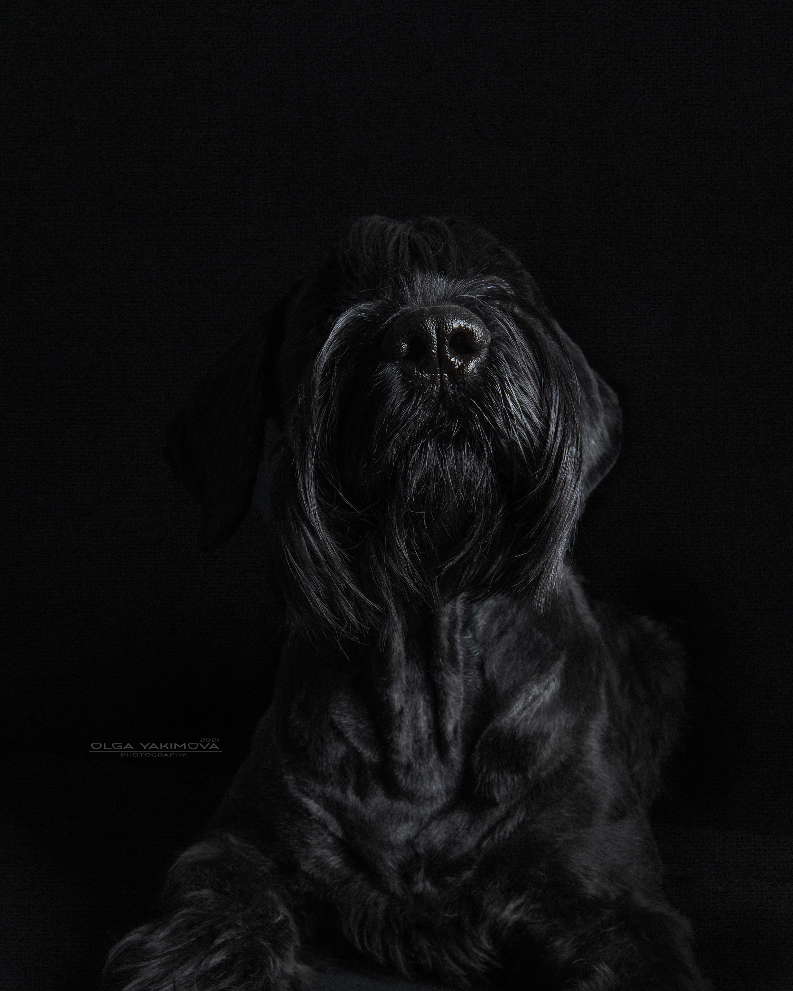 Экстерьер. Фотограф